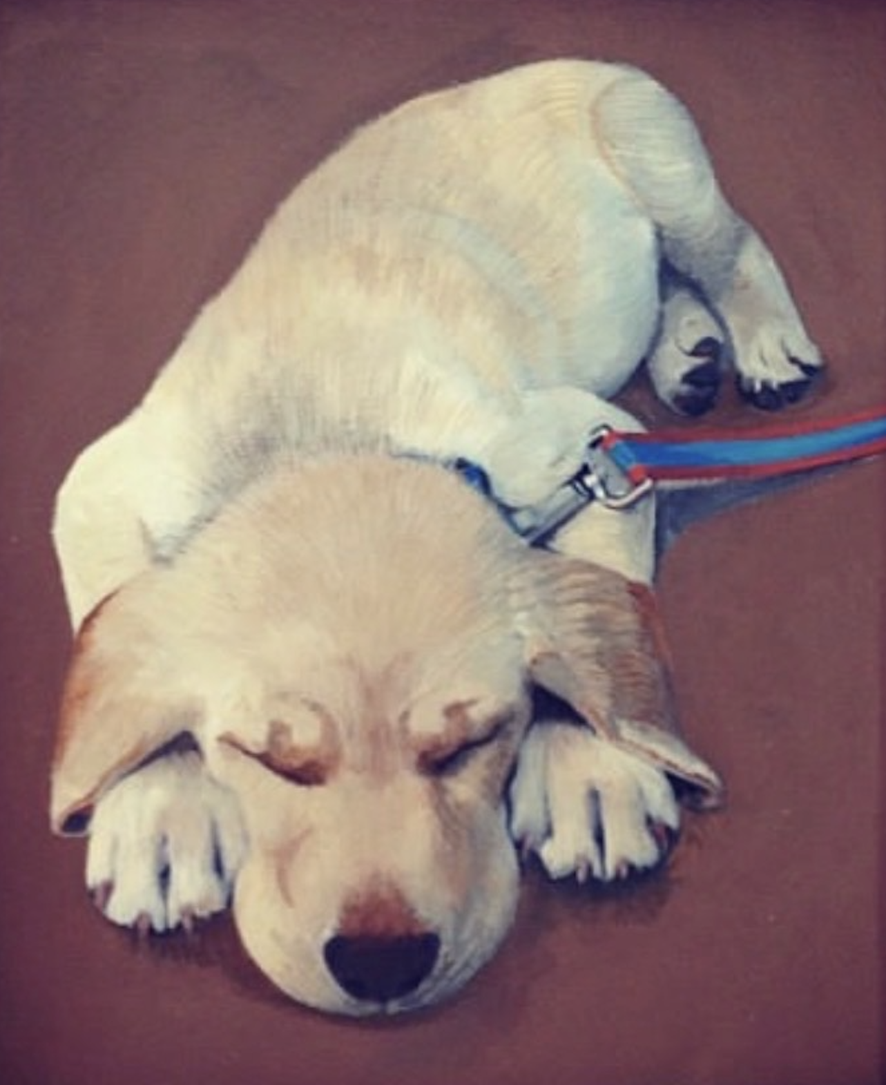Custom Dog Portrait
