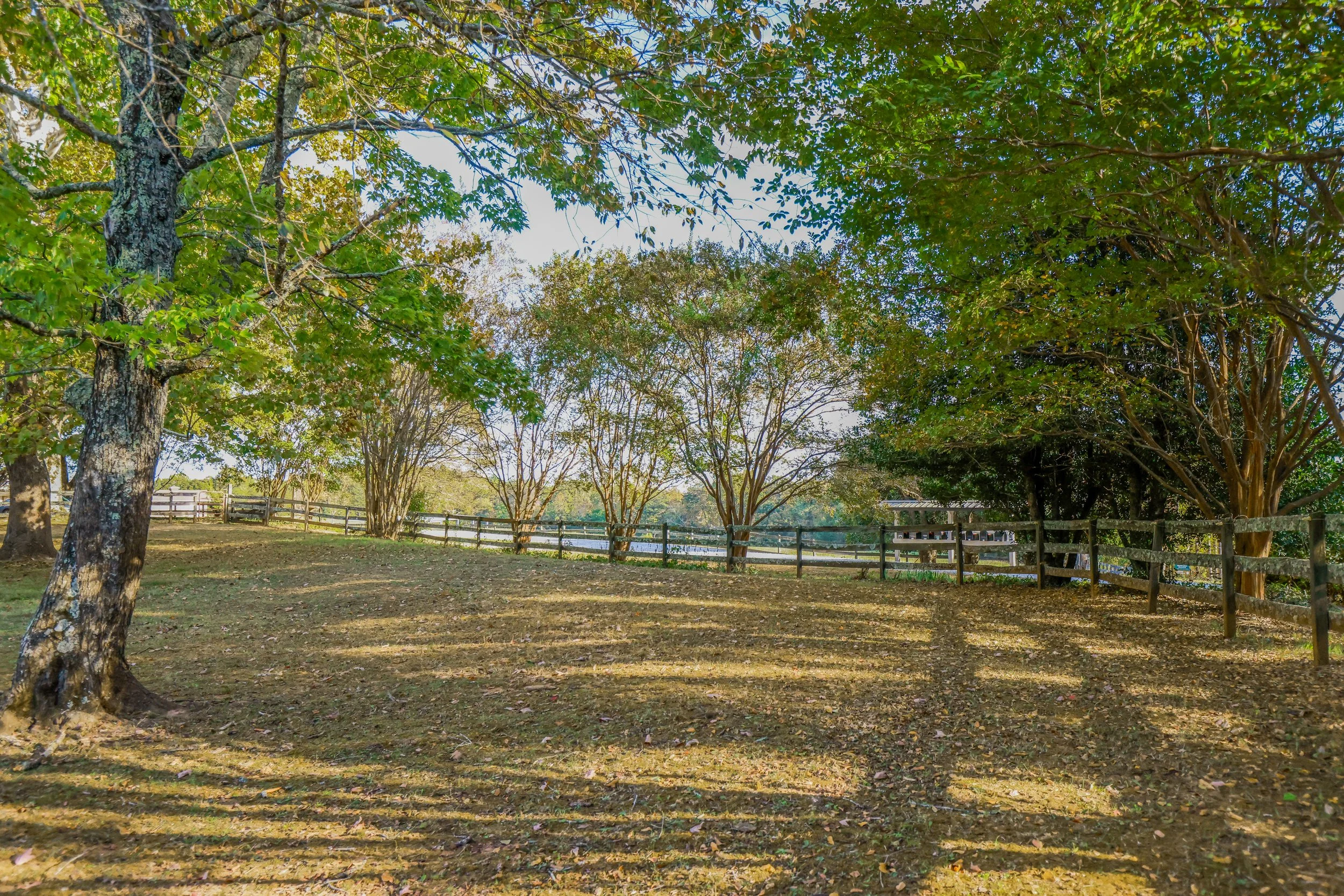 Horse Pasture