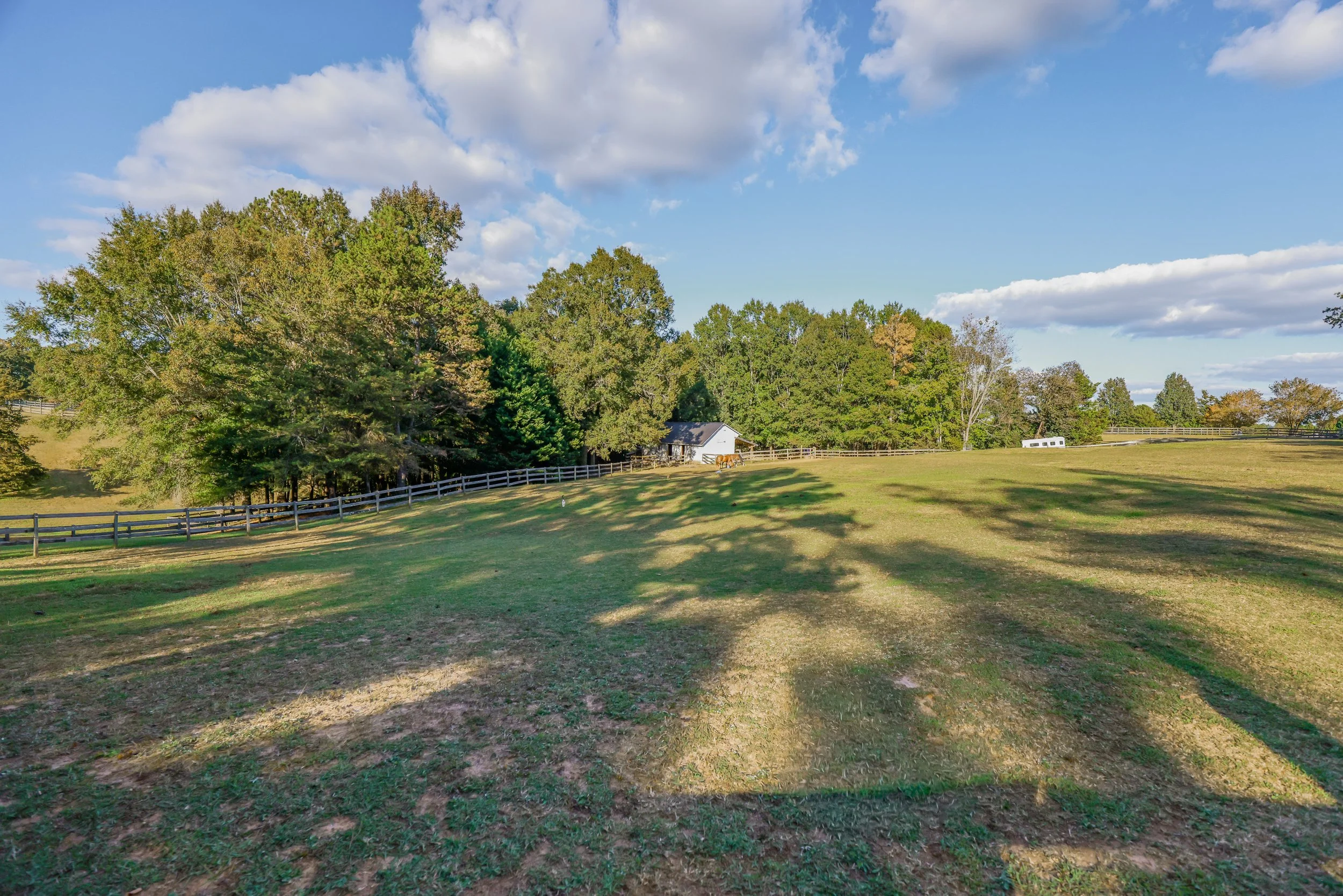 The Property