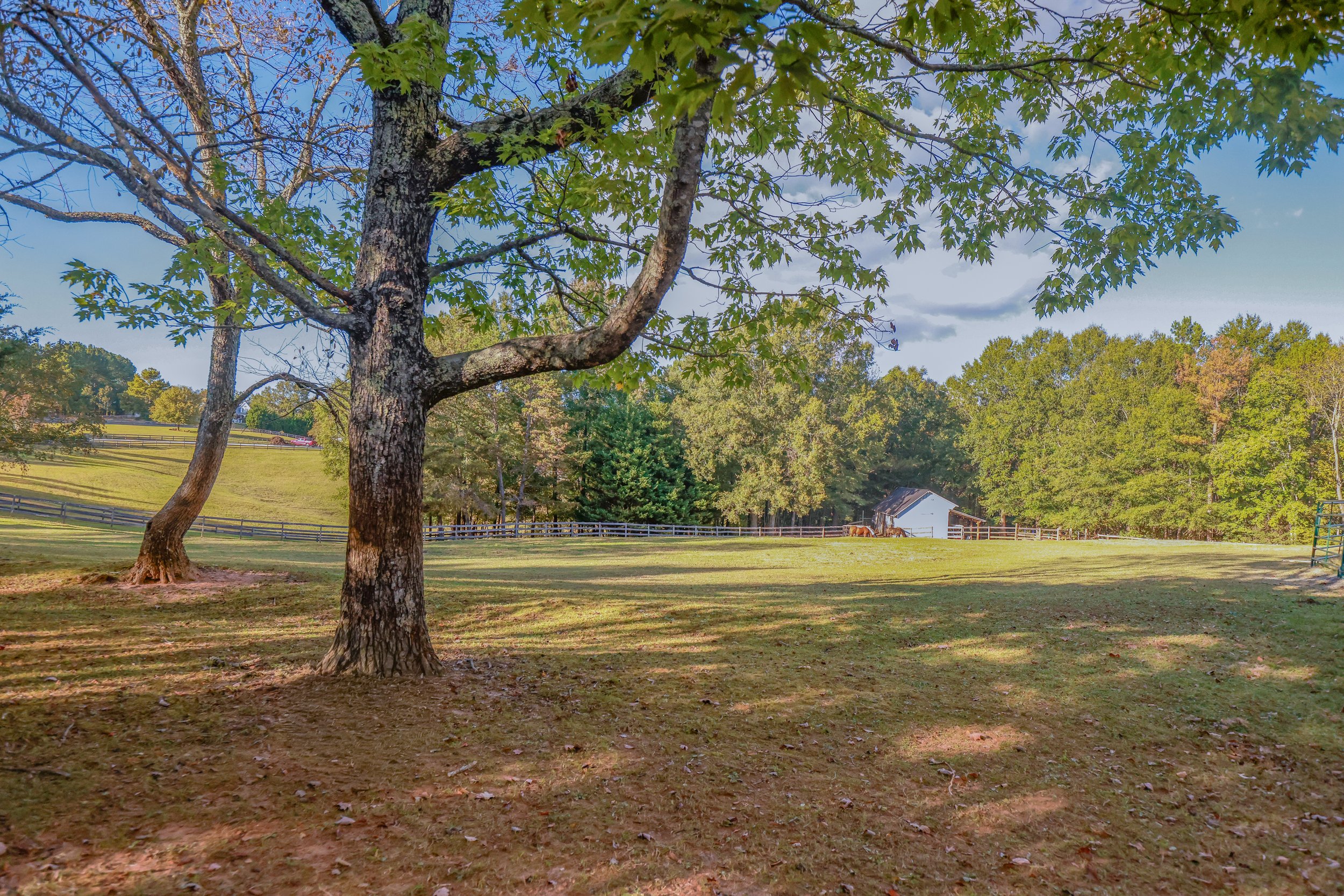 Scenic horse farm with mature trees, fenced pasture, horses, and a white barn under a blue sky