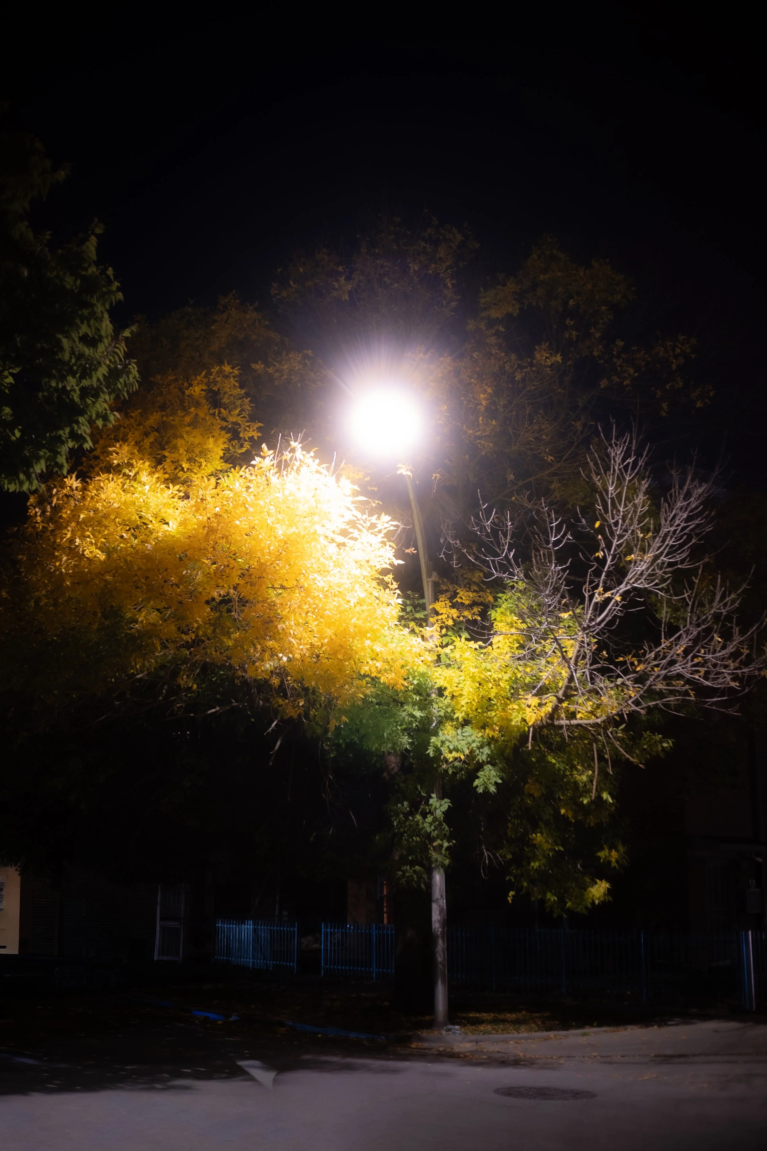 DSCF4866.jpg