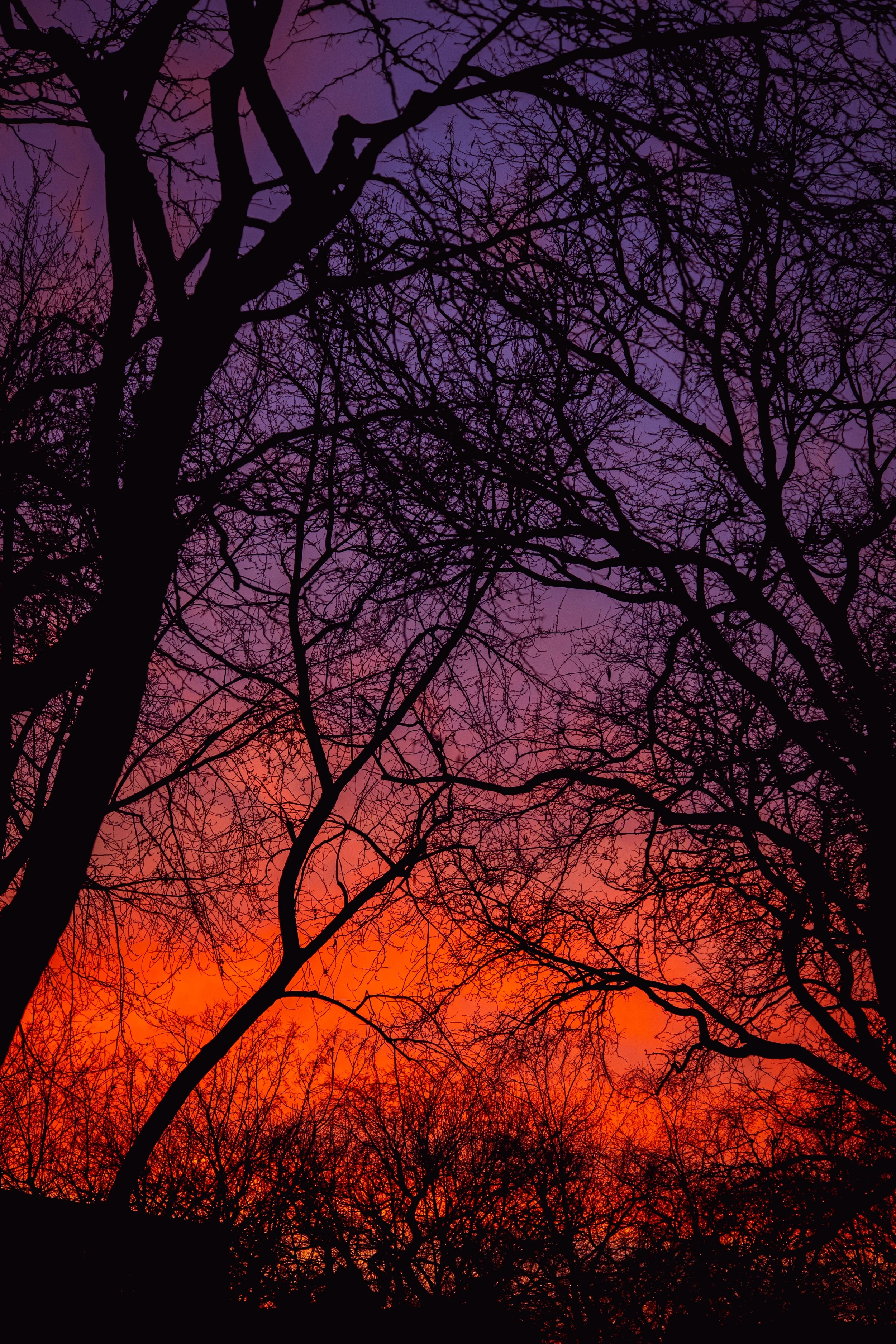 DSCF3157.jpg