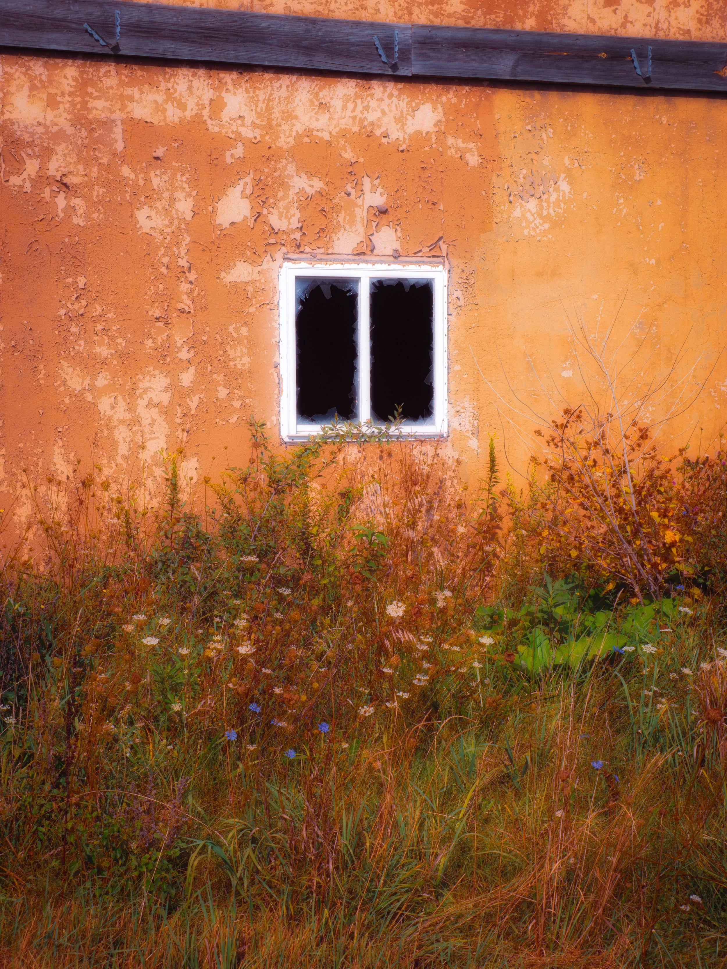 An exterior view of a weathered orange wall with peeling paint, a small window with broken glass, and overgrown tall grass and wild plants at the base of the wall.