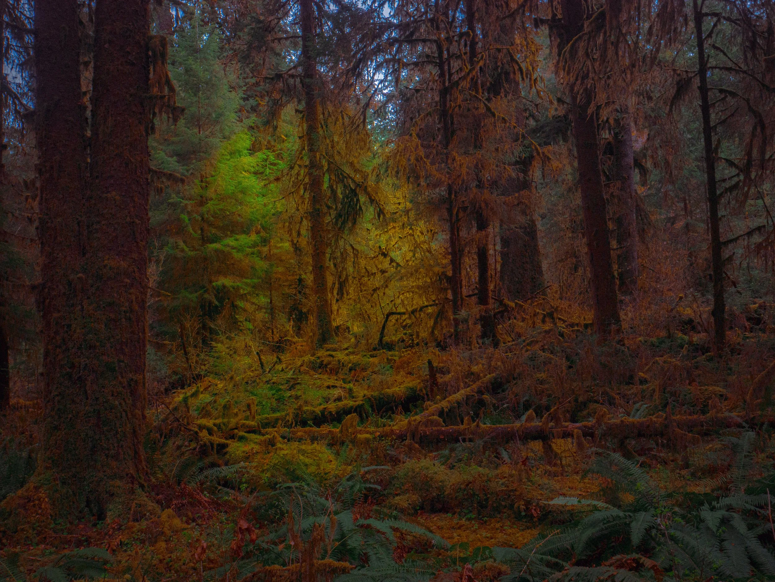 P1010424-2.jpg
