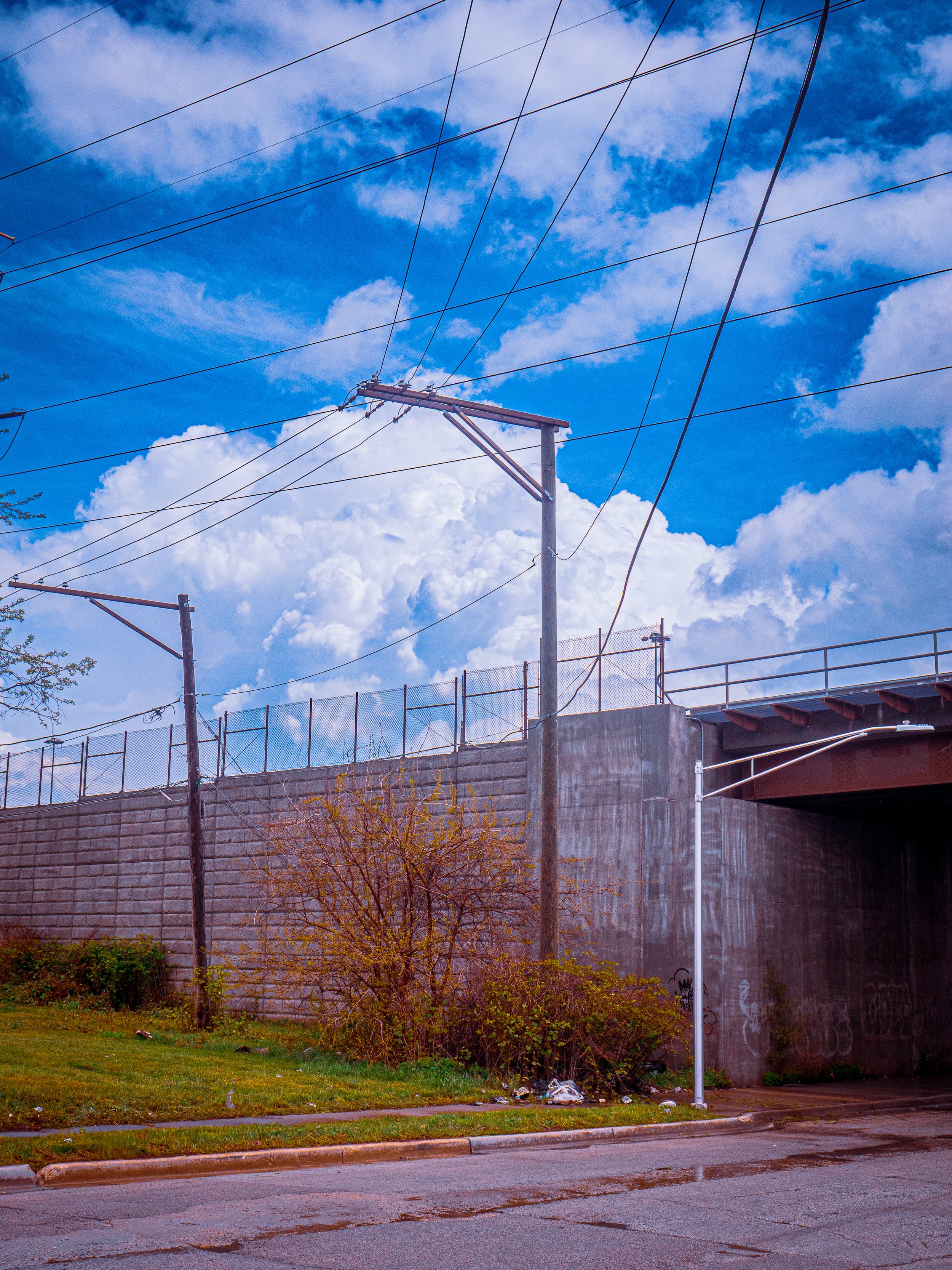 P1100237.jpg