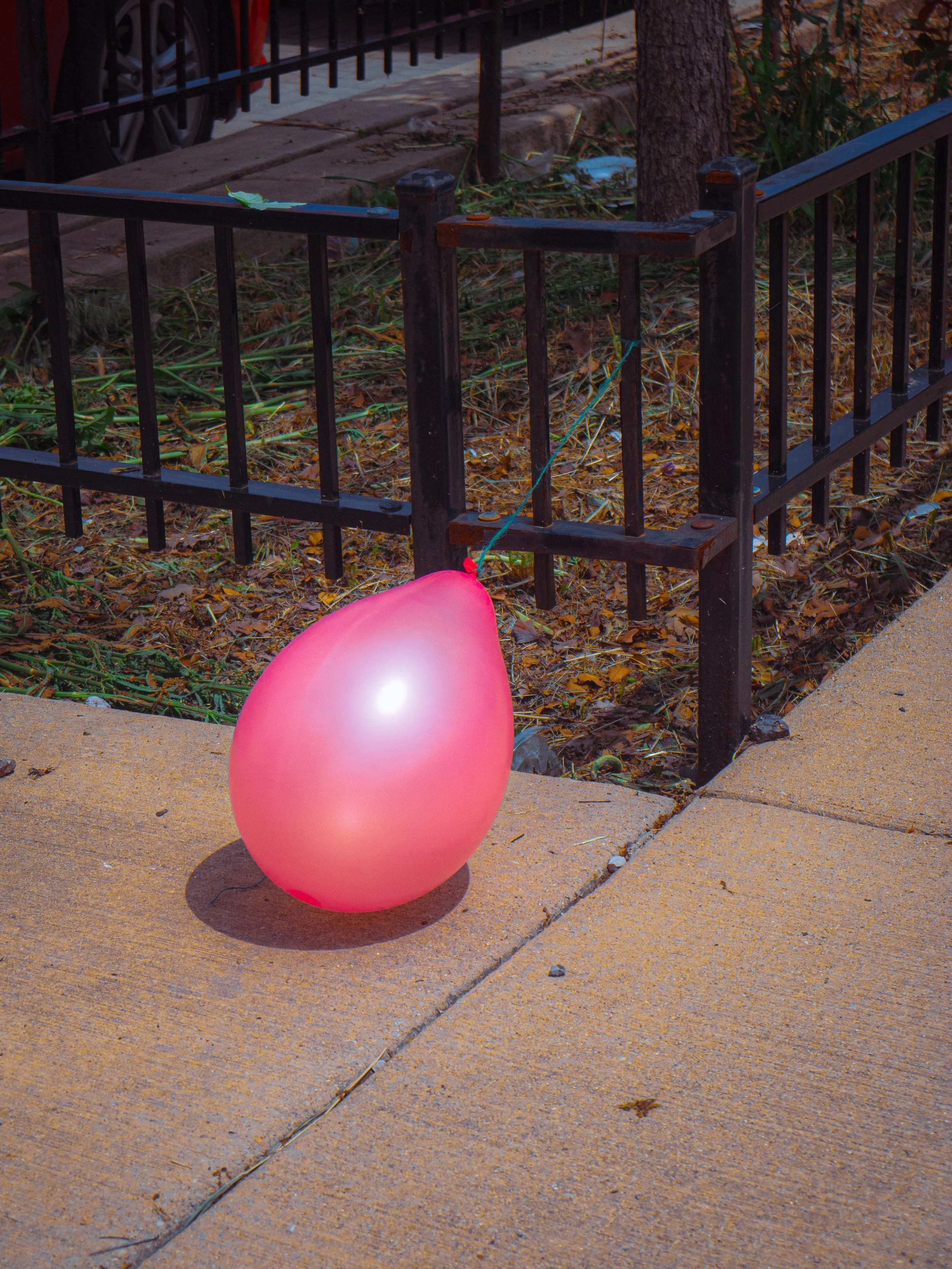 Pink balloon resting on a concrete sidewalk with a shadow, near a black metal fence, autumn leaves on the ground, and a small gardening area with plants and a tree.