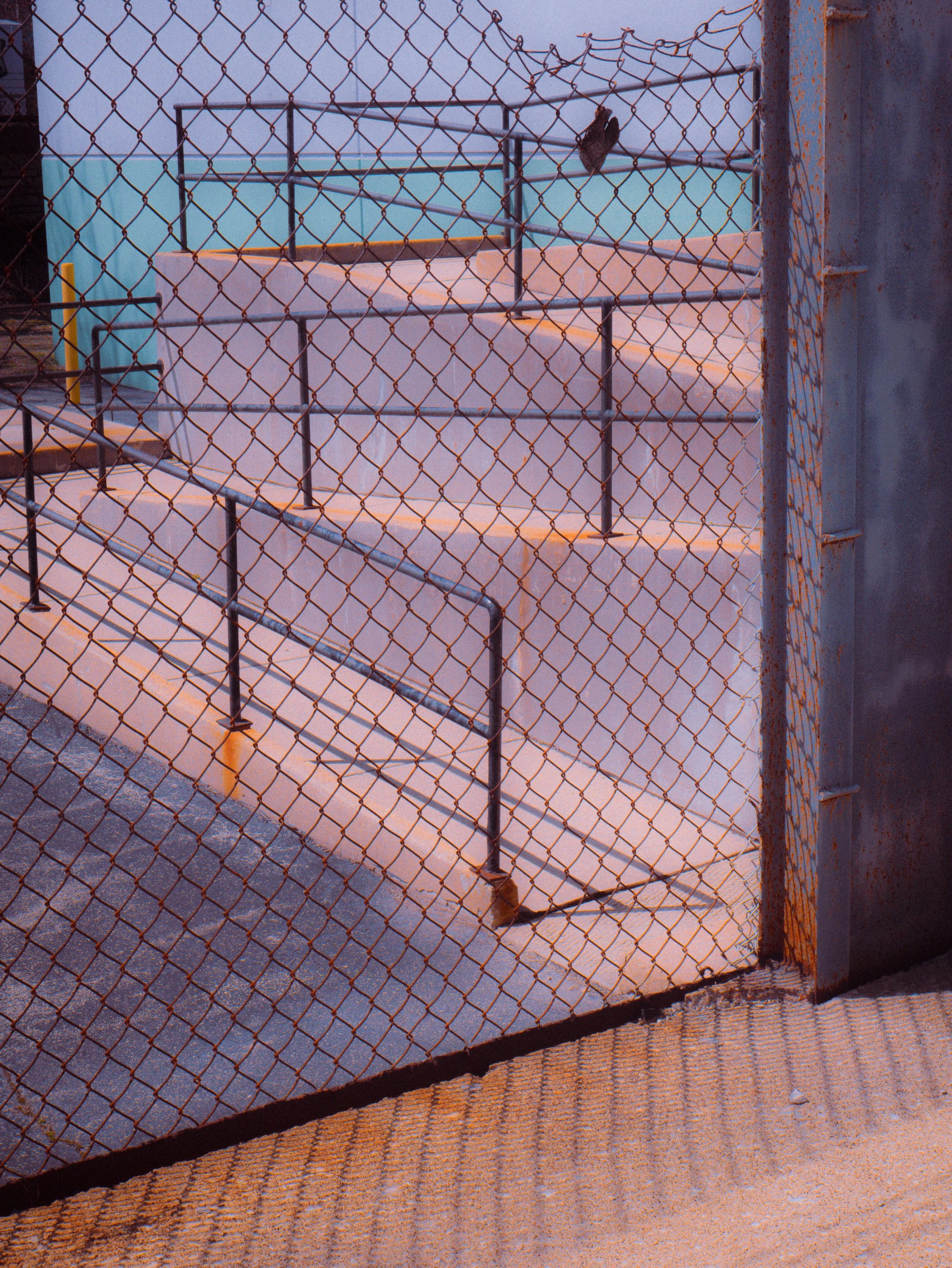 P1090599-2.jpg