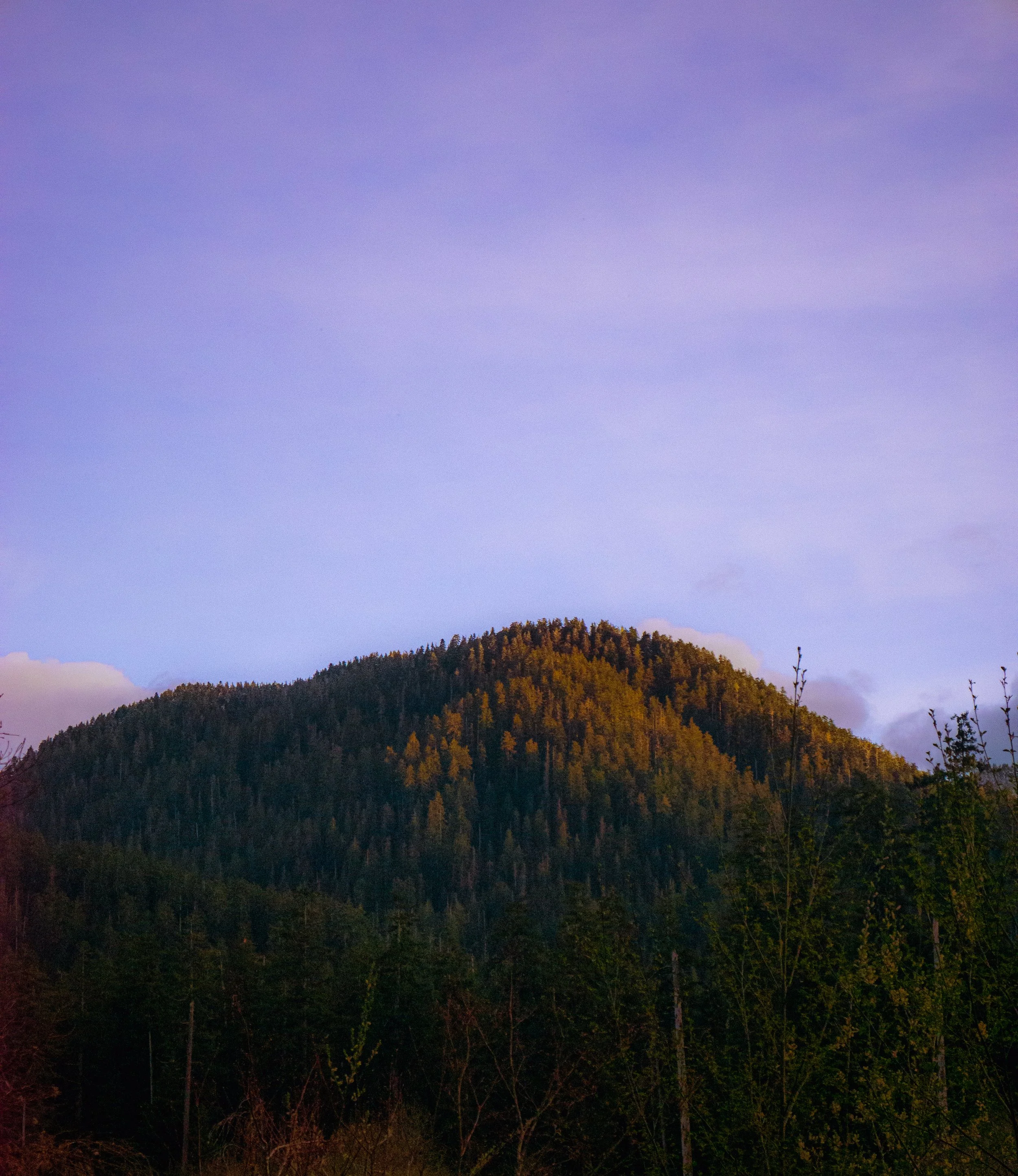 P1010442-2.jpg
