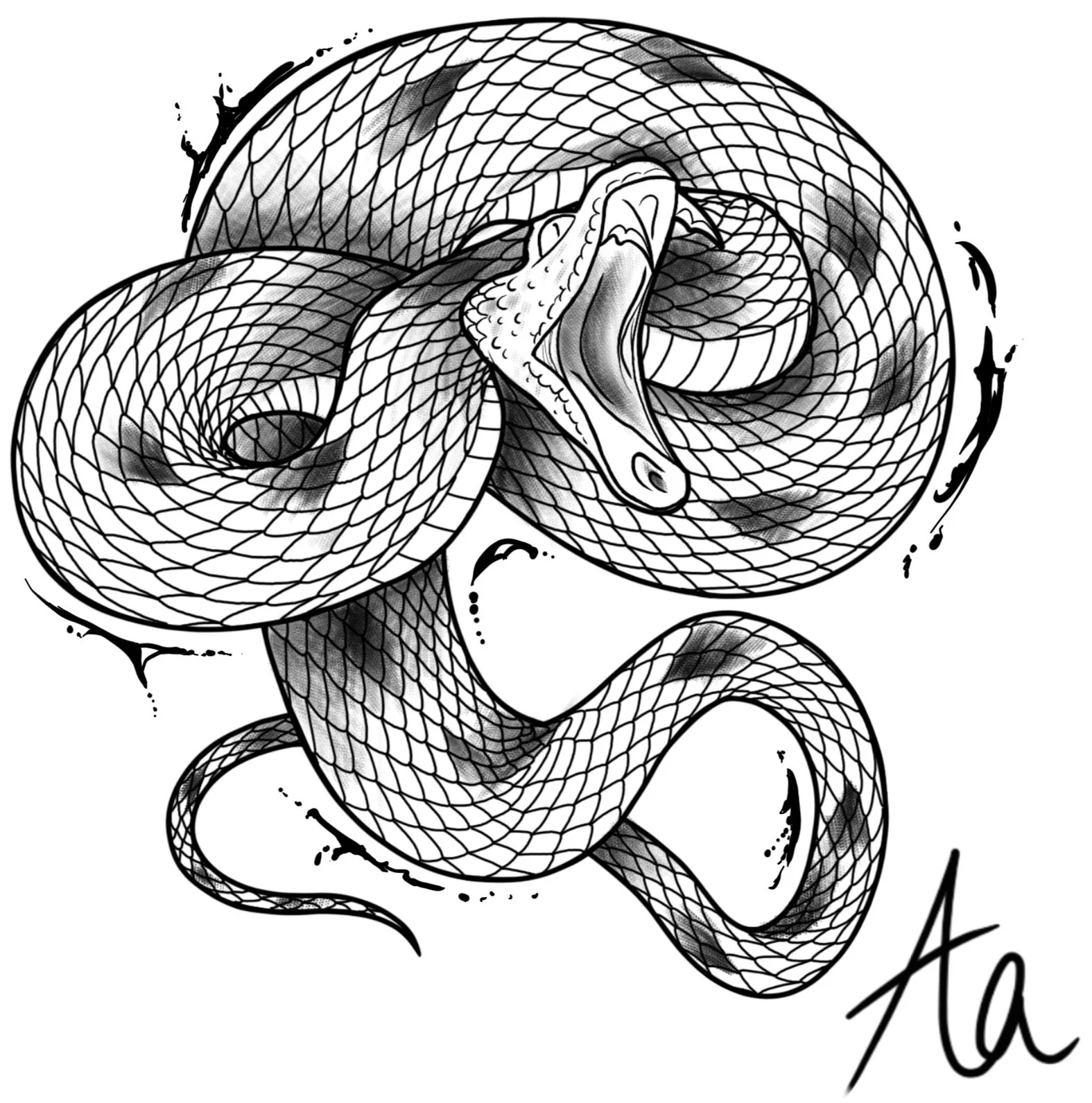 Black and white drawing of a coiled snake with detailed scales and an open mouth, with the word 'Ata' written at the bottom right.