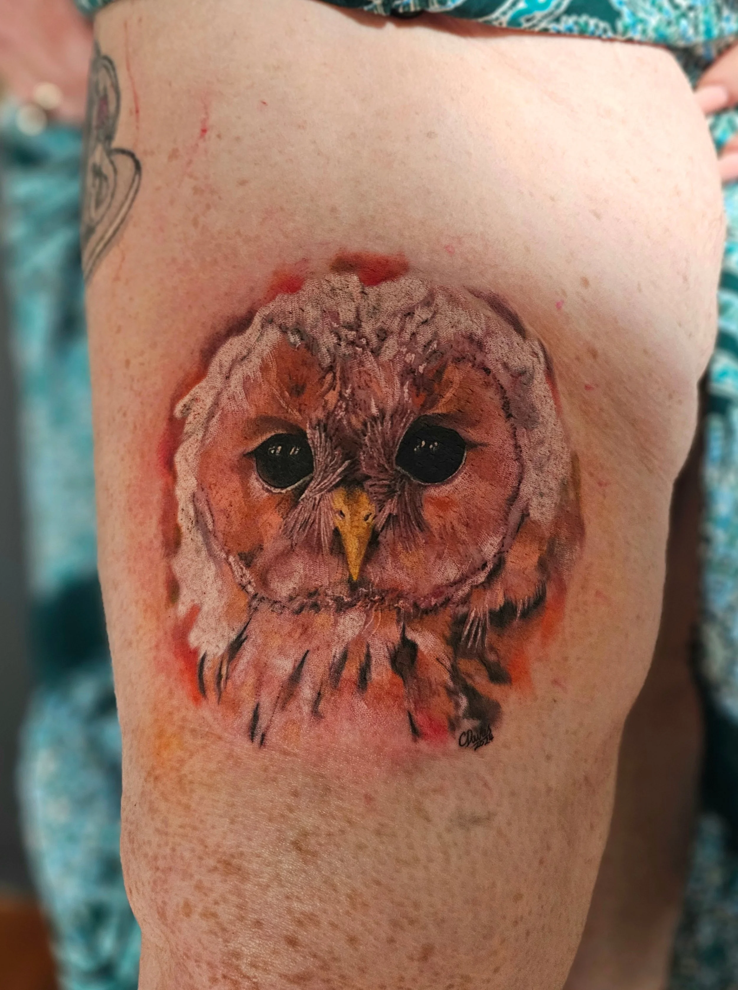 Tattoo of an owl on person's side/pubic area with detailed feathers and intense black eyes.