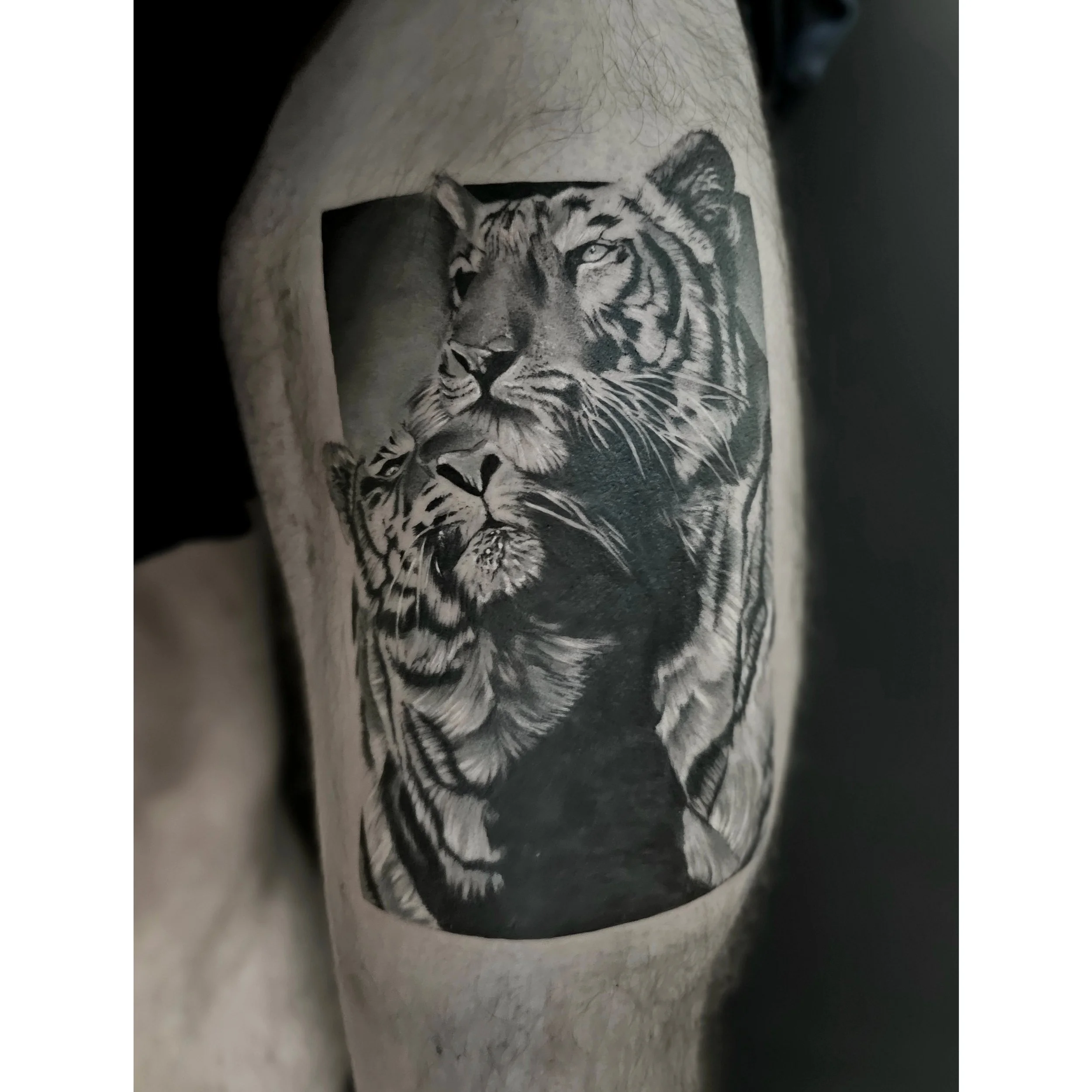 Close-up of a tattoo of a tiger's face on someone's skin, with detailed shading and contrast.