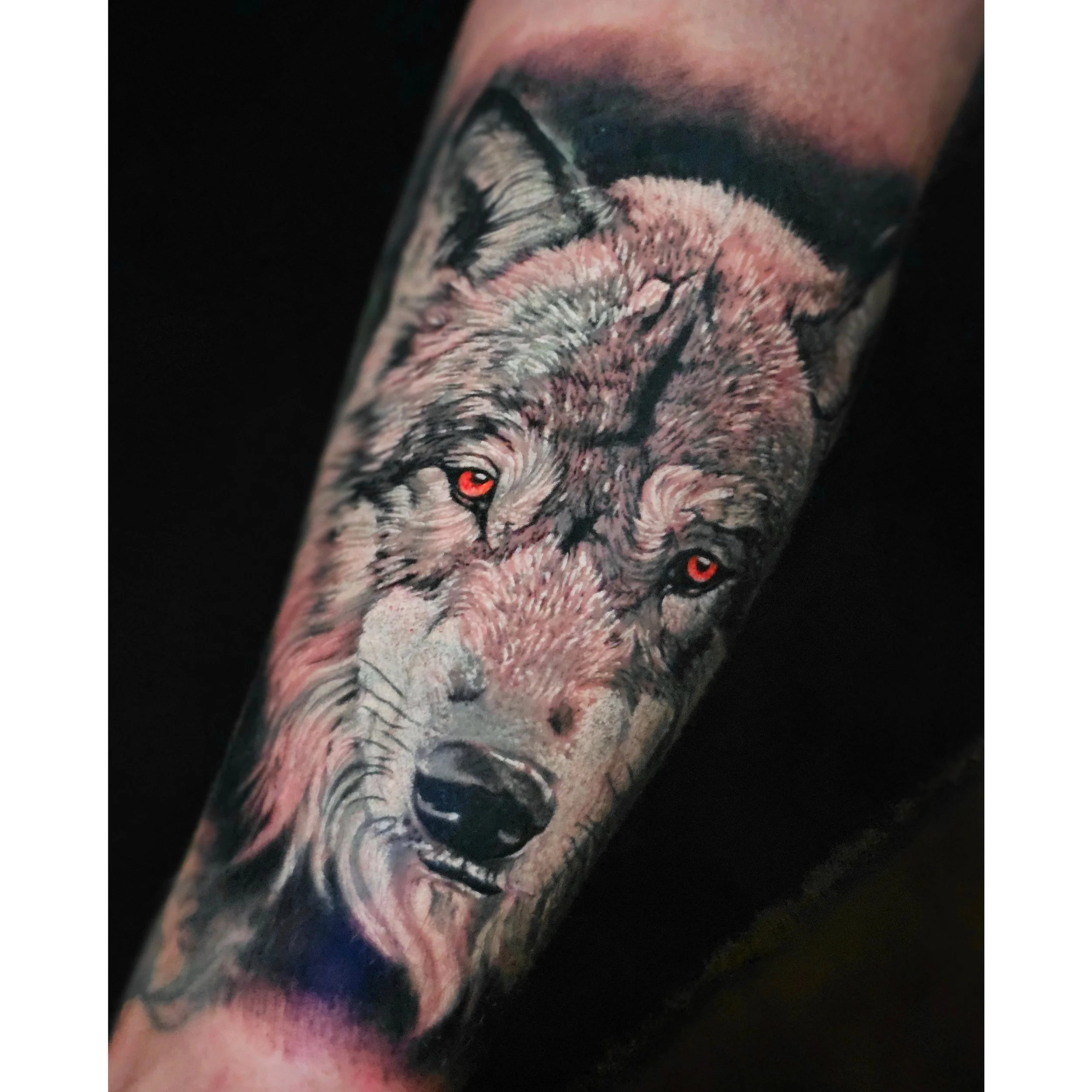 Close-up of a wolf tattoo on a person's arm, featuring a detailed wolf face with piercing red eyes, surrounded by fur and shading.