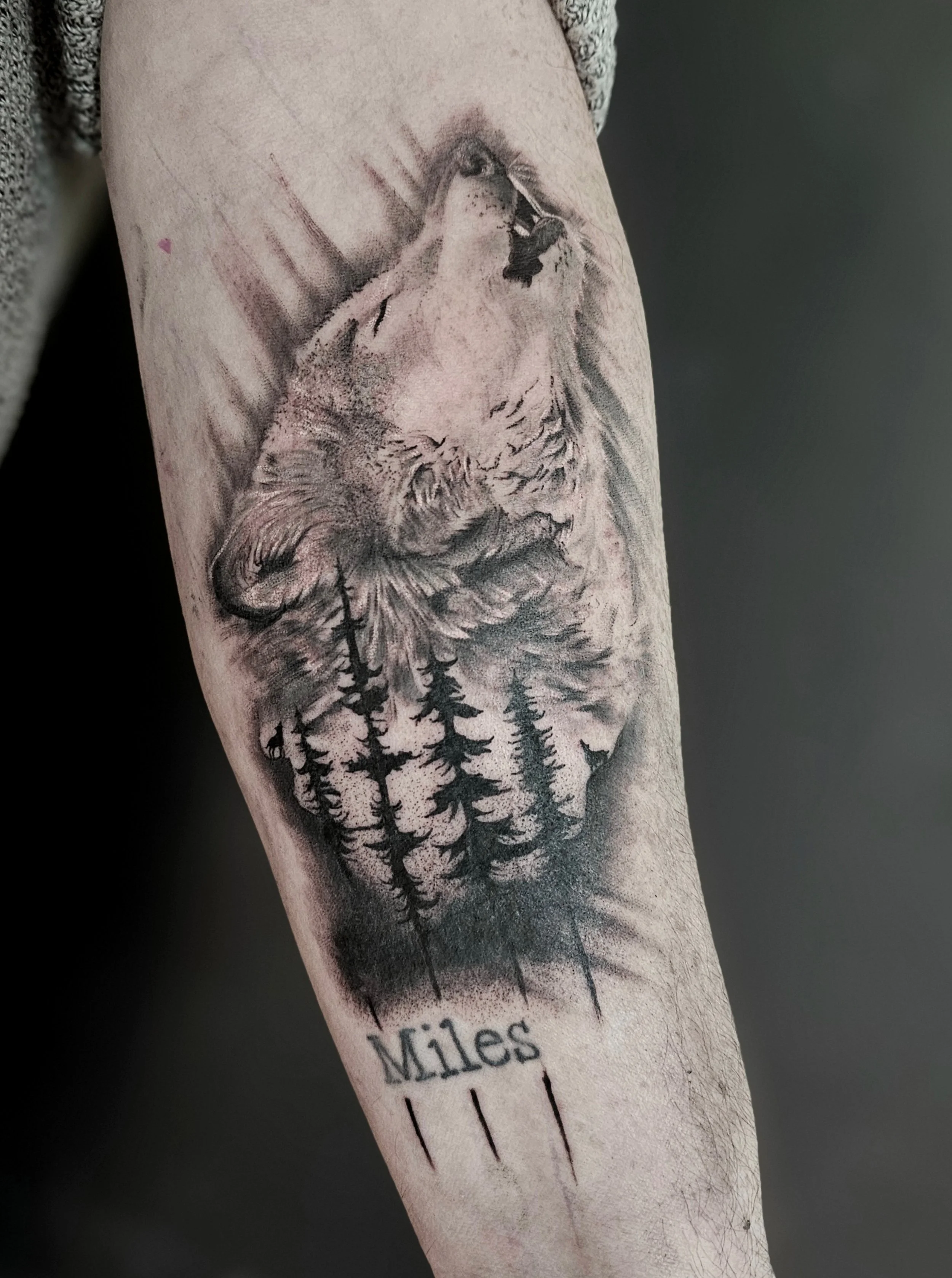 A tattoo of a wolf howling at the moon surrounded by trees on a person's arm.