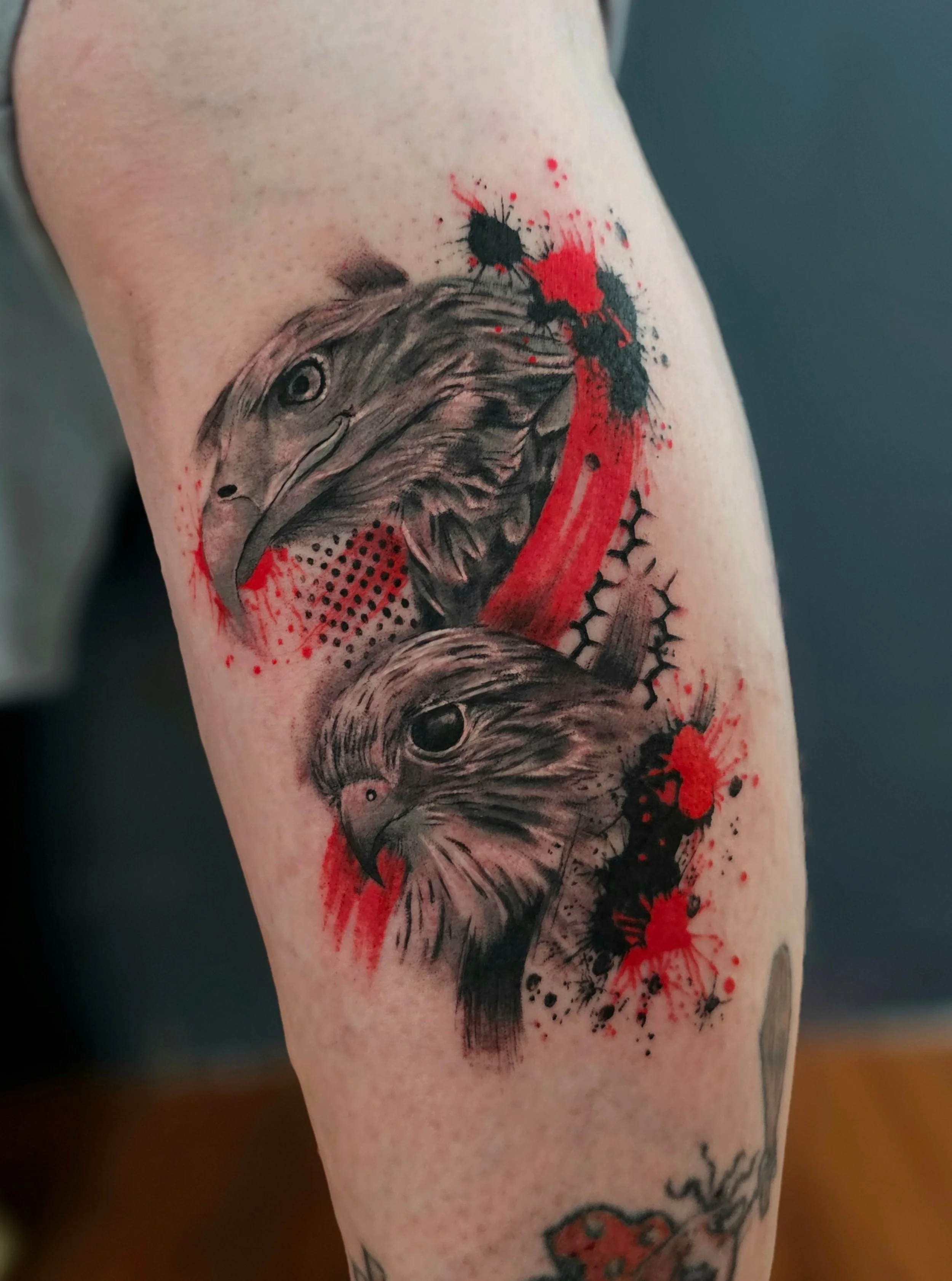 Tattoo of a bird, possibly a hawk or owl, with red, black, and gray ink, featuring abstract and splatter design elements.