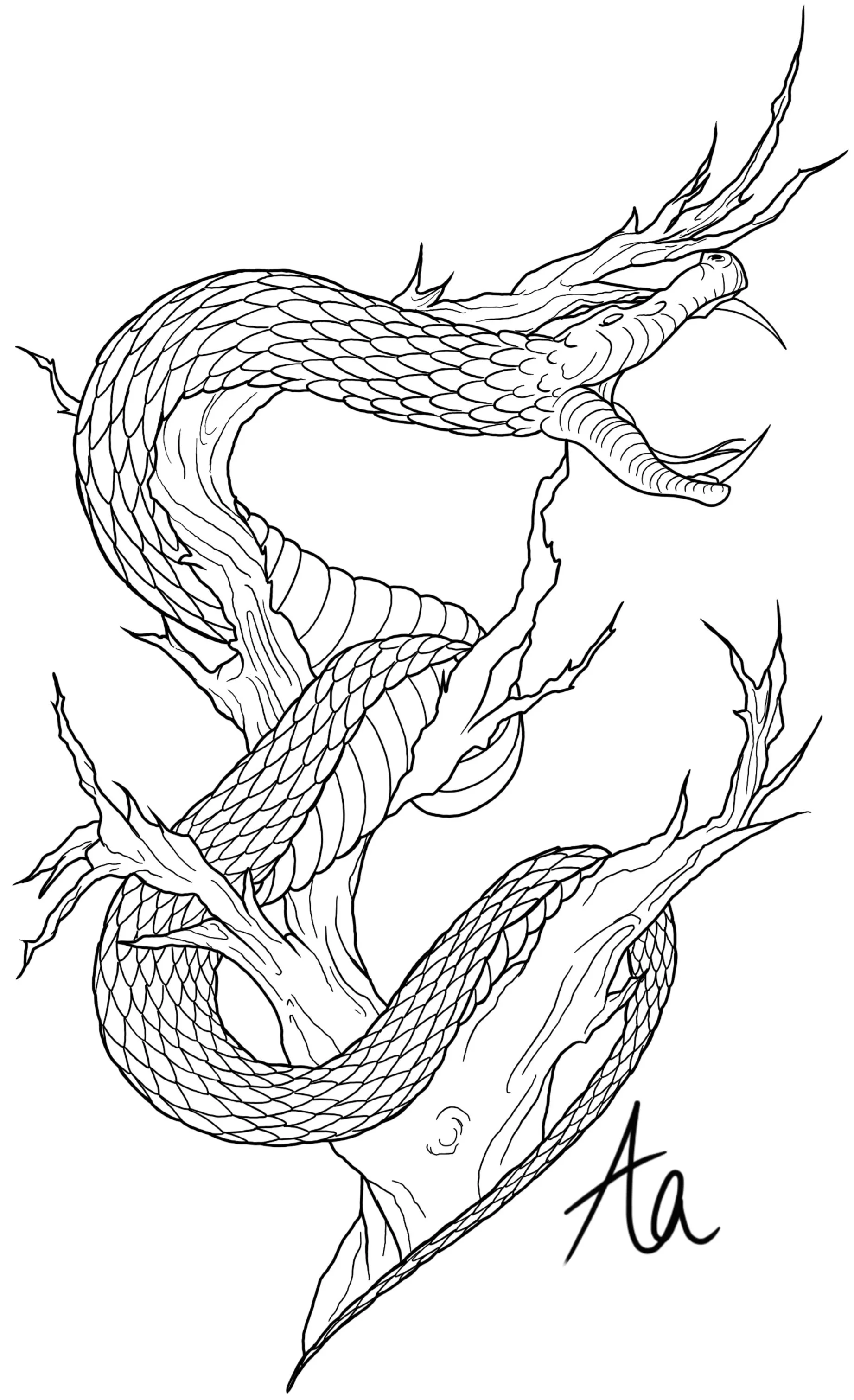 Black and white line drawing of a snake coiled around a tree branch, with the initials 'Ao' written at the bottom right corner.