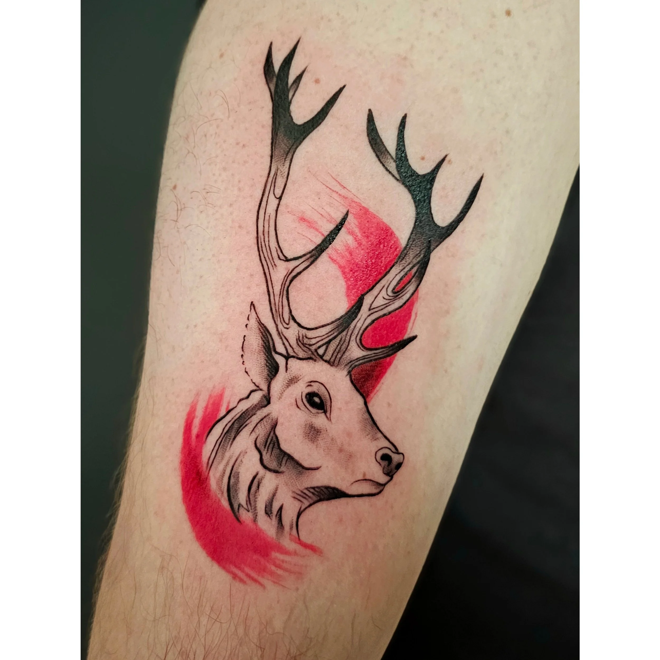 Tattoo of a deer's head with antlers on skin with red shading.