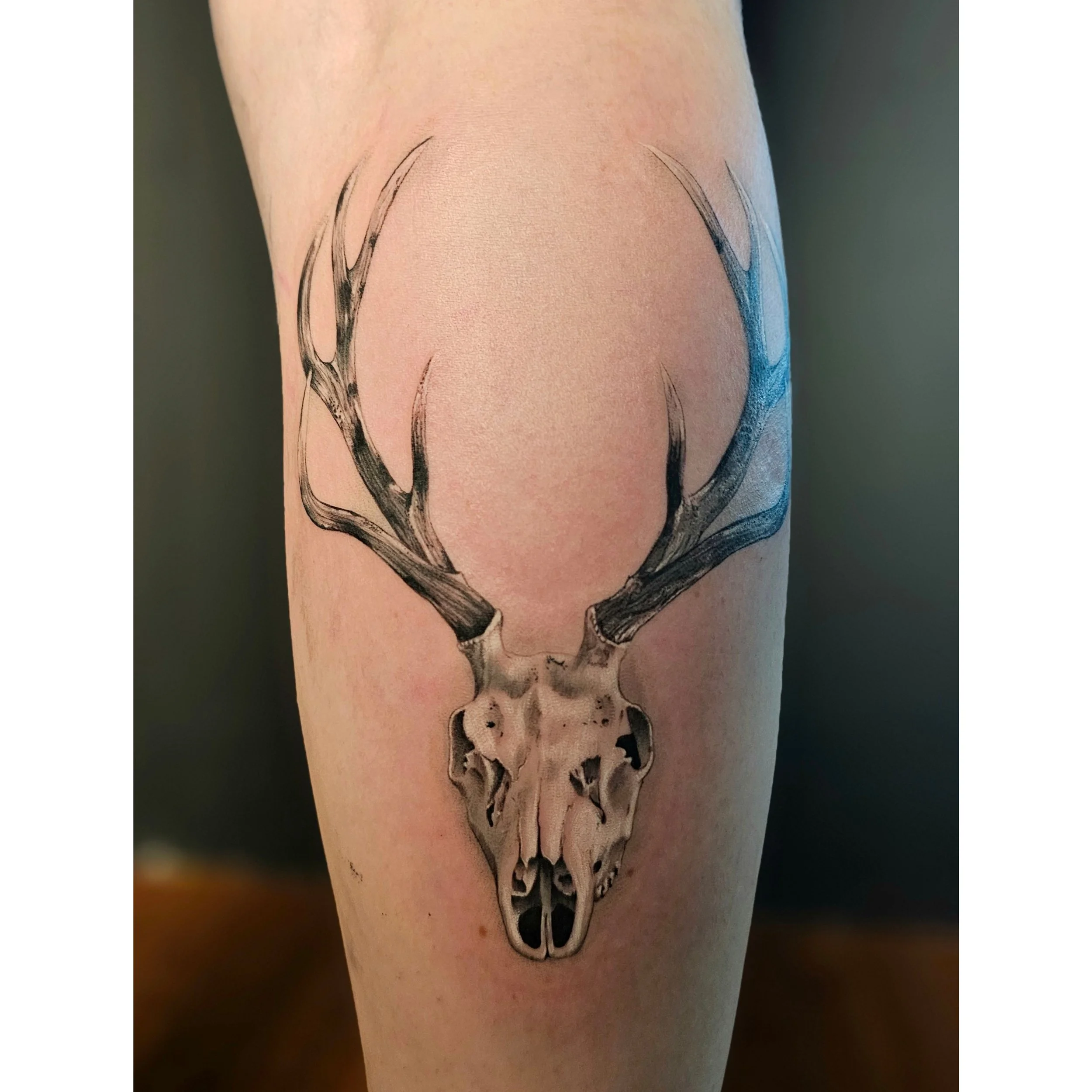 Close-up of a person's skin with a tattoo of a deer skull with antlers.