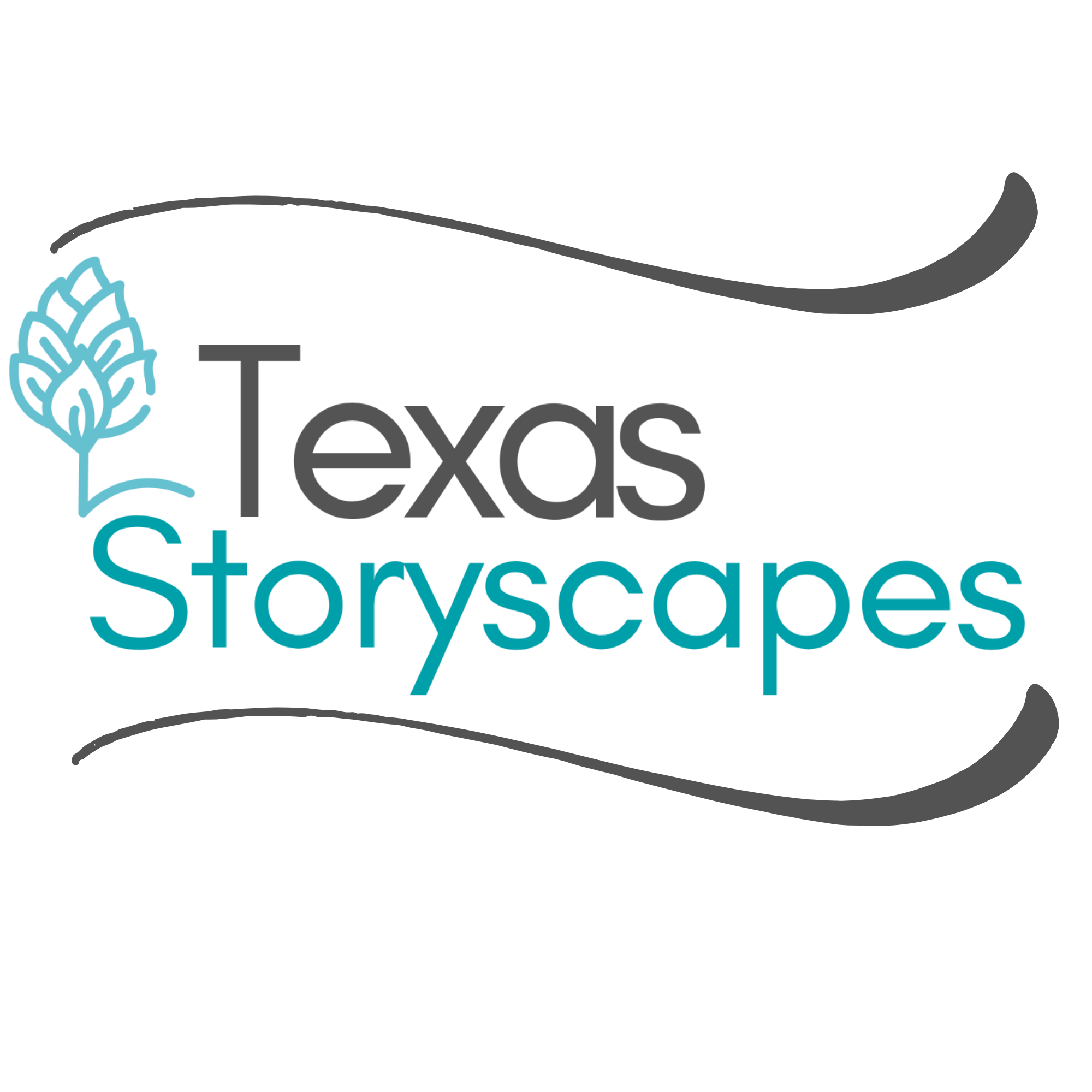 TeXaS Storyscapes logo with a stylized turquoise plant icon and gray decorative flourishes on a black background