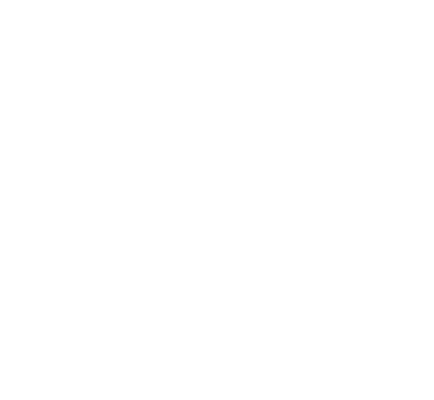 AllRoad Adventure