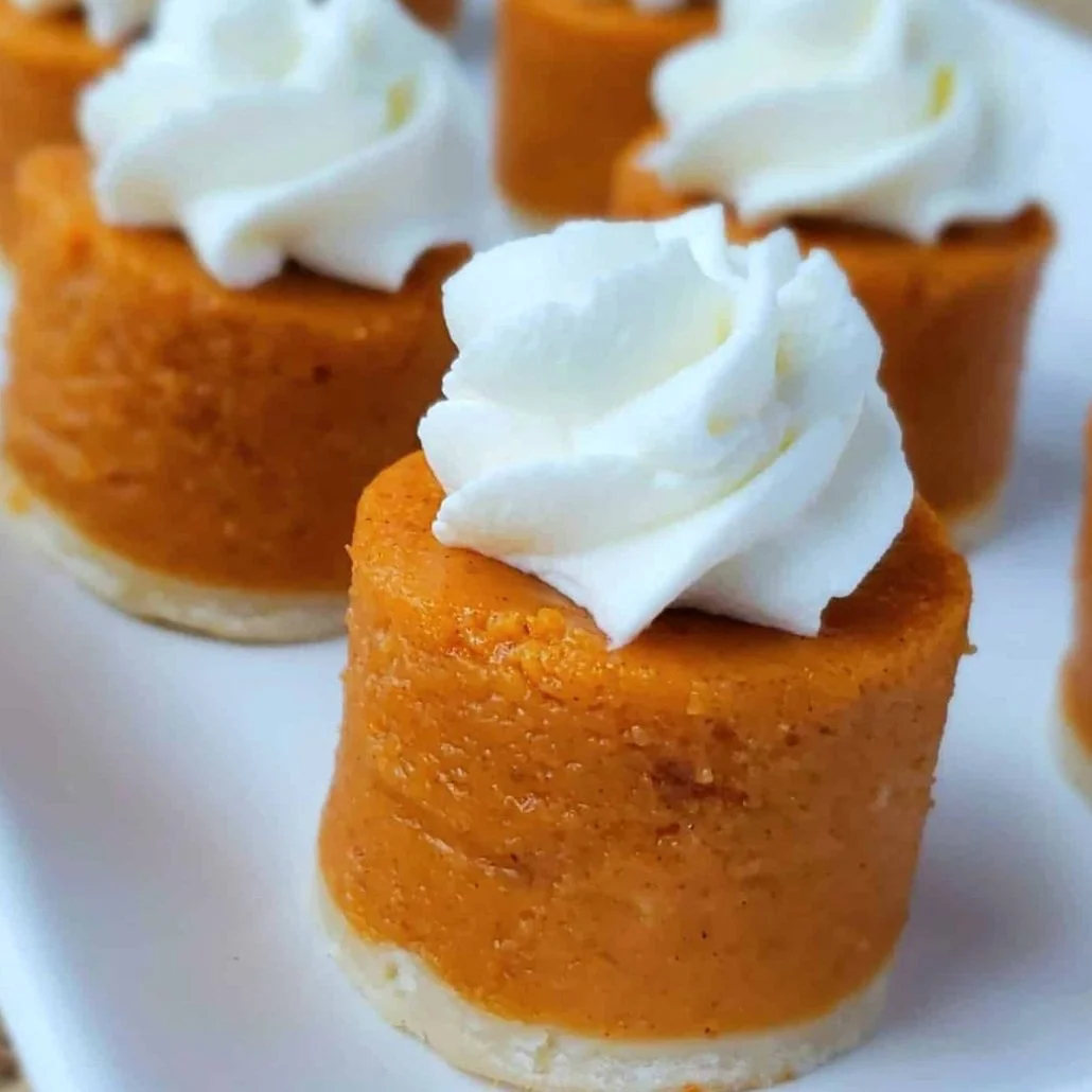 Mini pumpkin pies topped with whipped cream