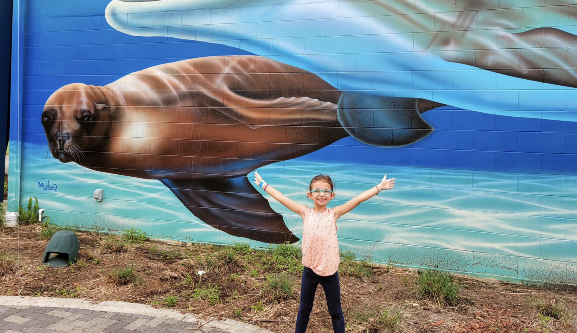 Child in front of the sea lion mural at the Institute for Marine Mammal Studies in Gulfport