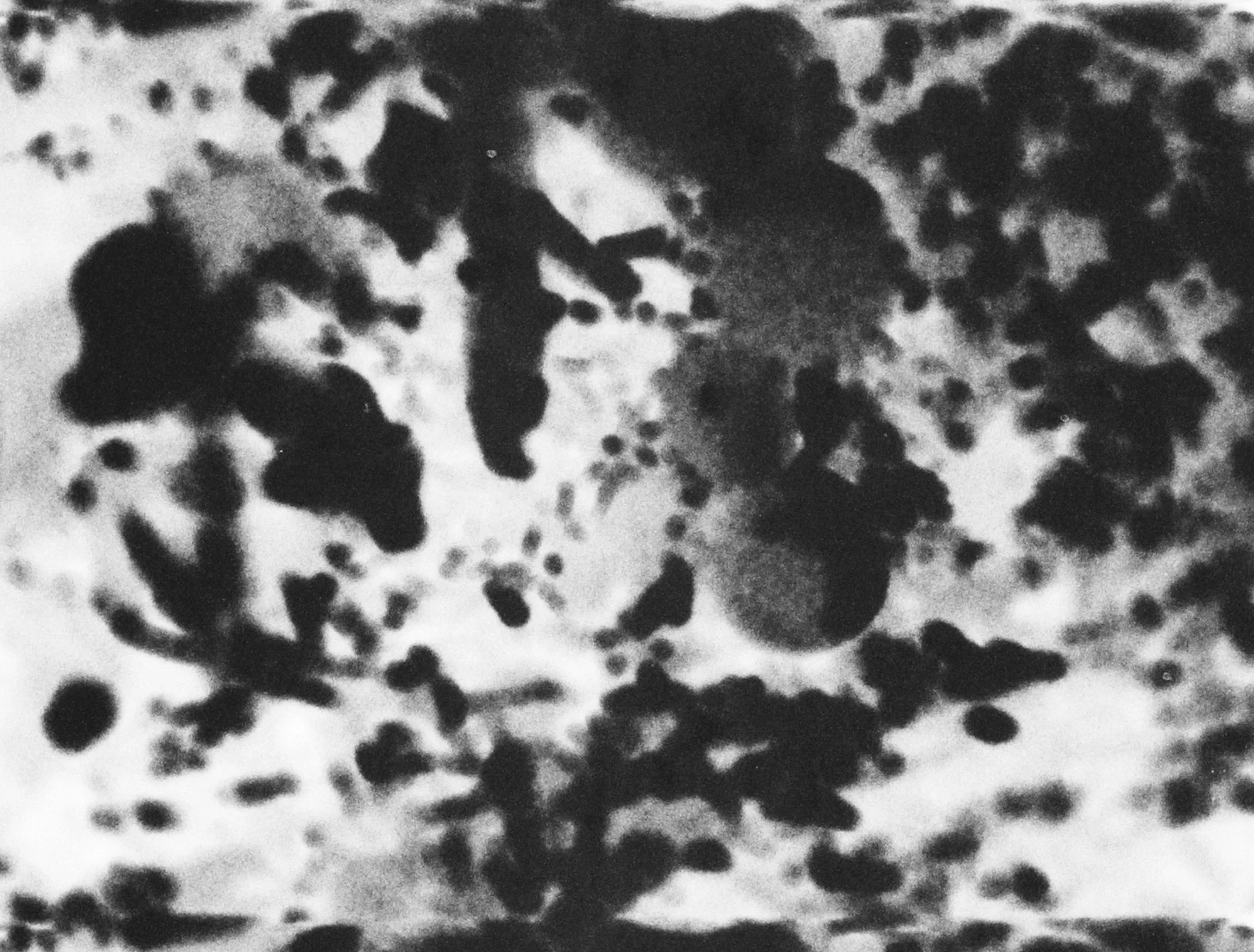 Copy of Sequence 04.00_08_49_02.Still019_300dpi.jpg