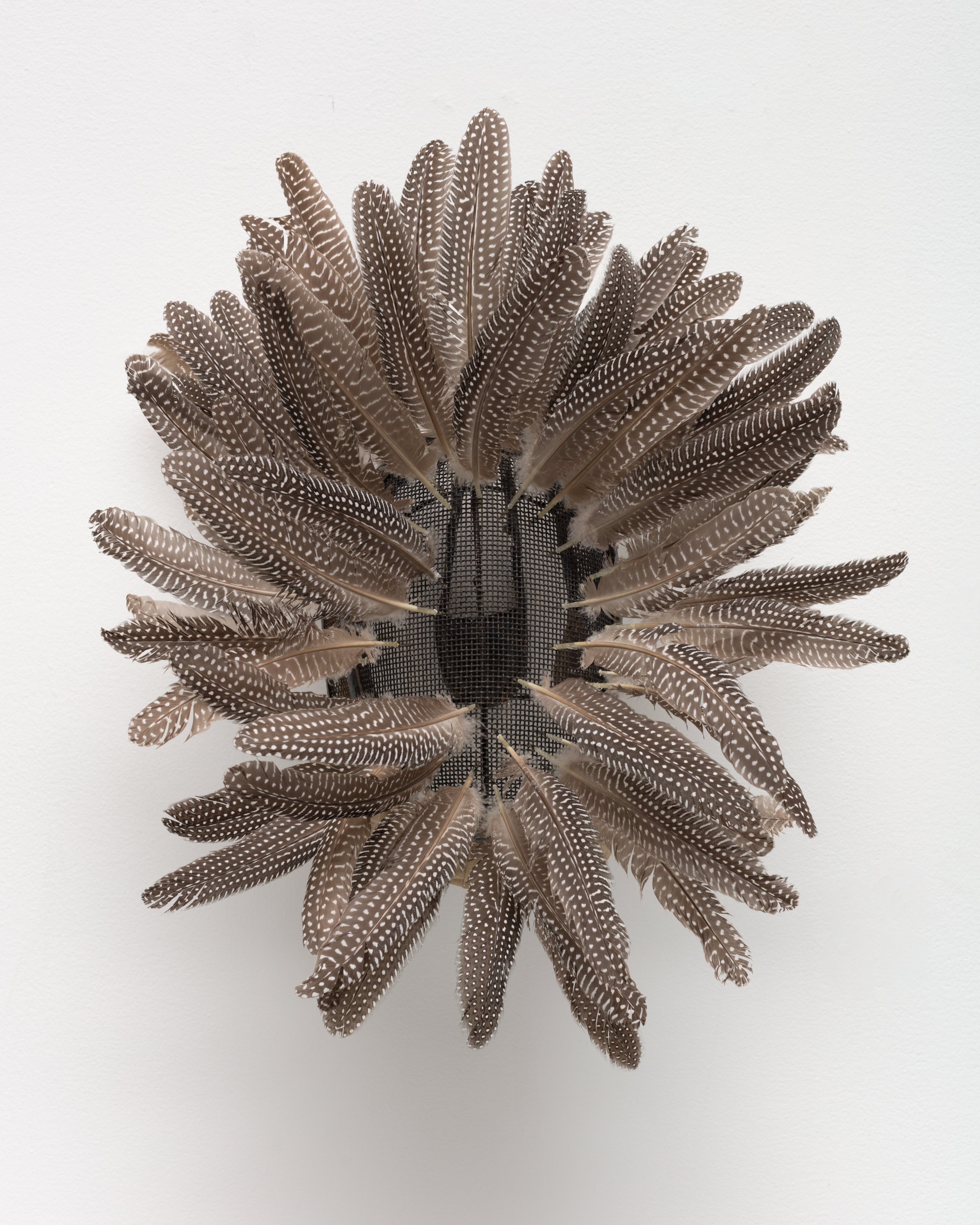  Guinea Mask , 2019 
Vintage fencing mask, feathers 
20 x 20 x 18 inches