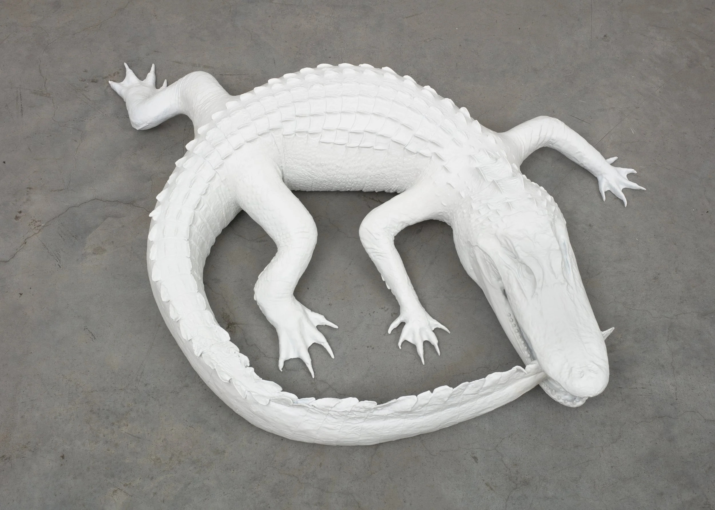  Untitled (White Ouroboros) II , 2023 
ASA filament, paint, resin 
8 1/2 x 38 x 39 inches