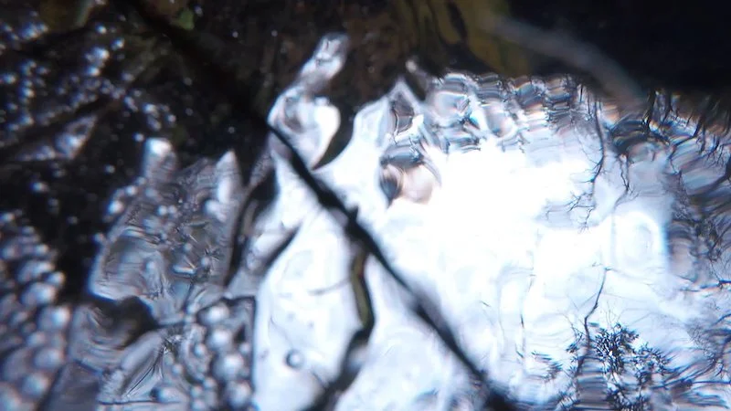 Wacissa, 2019. Still Frame