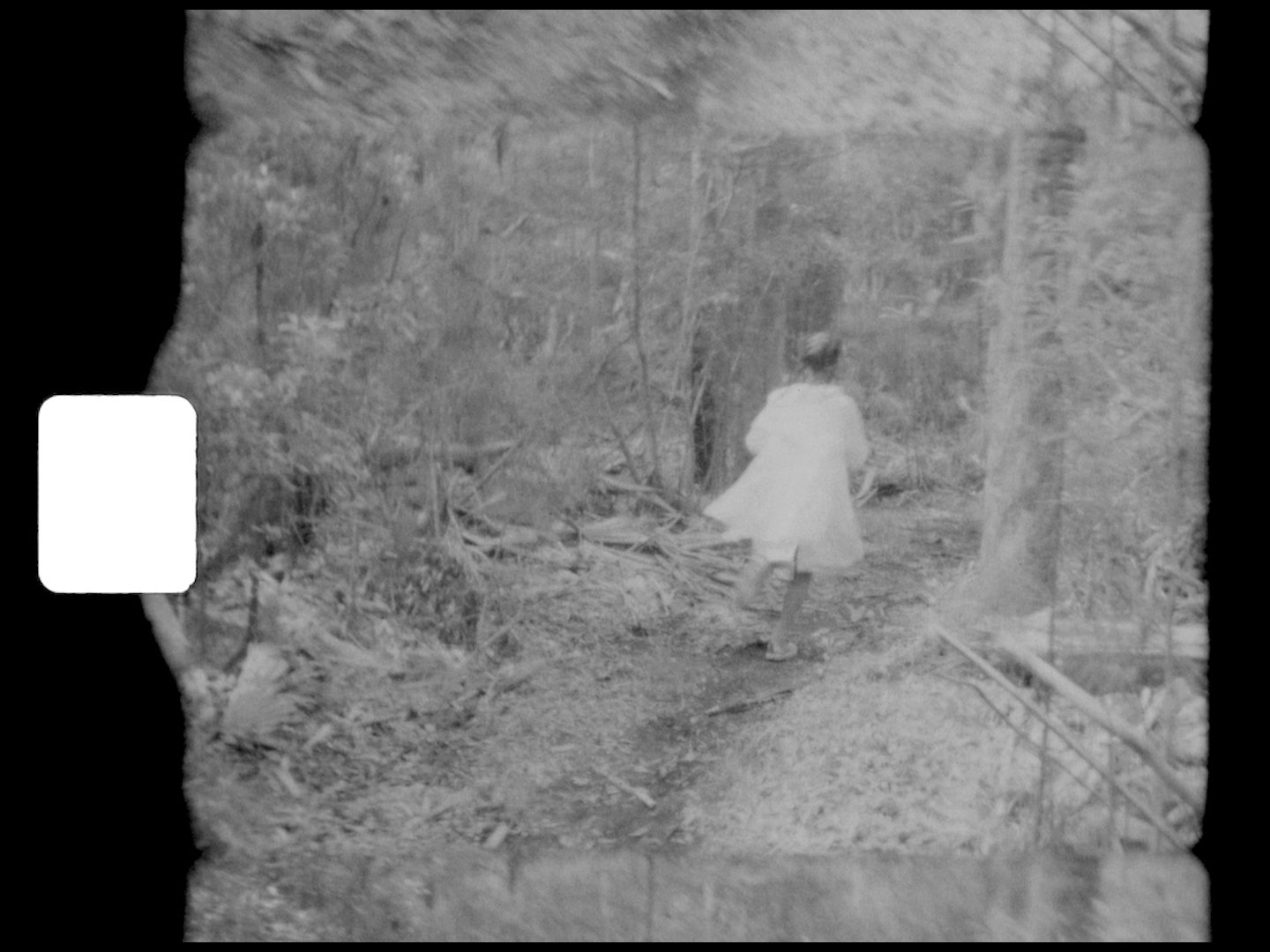 Copy-of-Wakulla-Cathedral-MASTER-ProRes-1440x1080-24fps.mov.00_00_38_14.Still002_300dpi.jpg