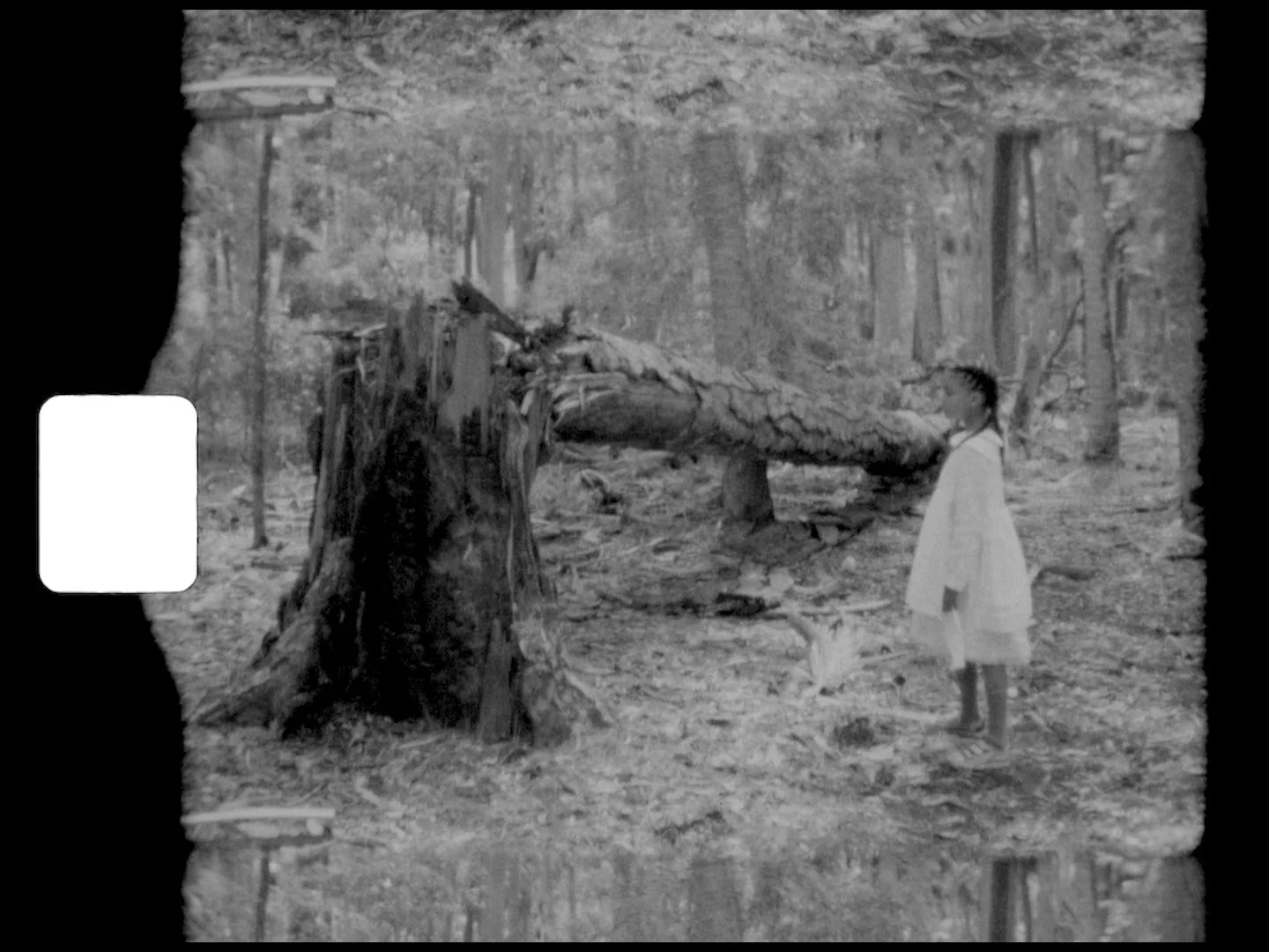 Copy-of-Wakulla-Cathedral-MASTER-ProRes-1440x1080-24fps.mov.00_00_48_23.Still003_300dpi.jpg