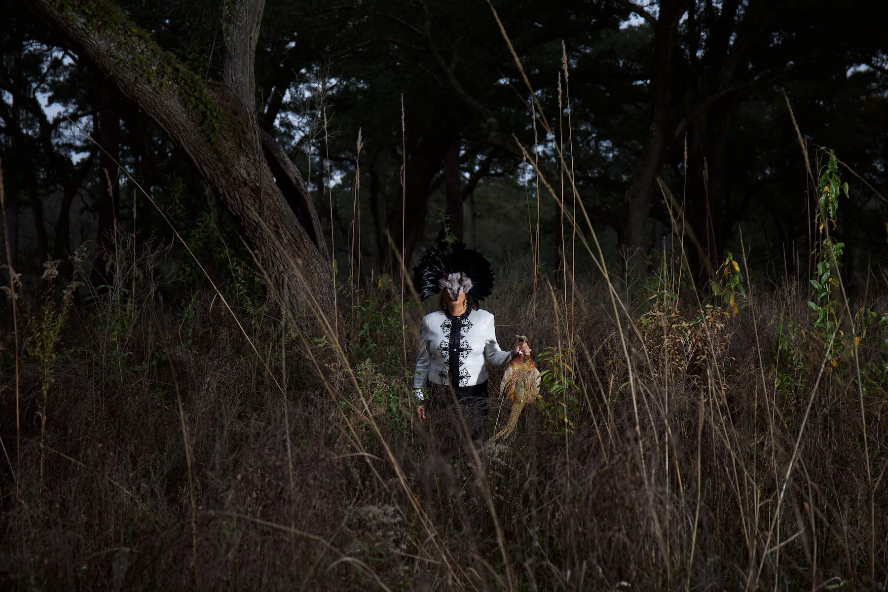  Brecencia and Pheasant II , 2015 
Archival pigment print 
40 x 60 inches