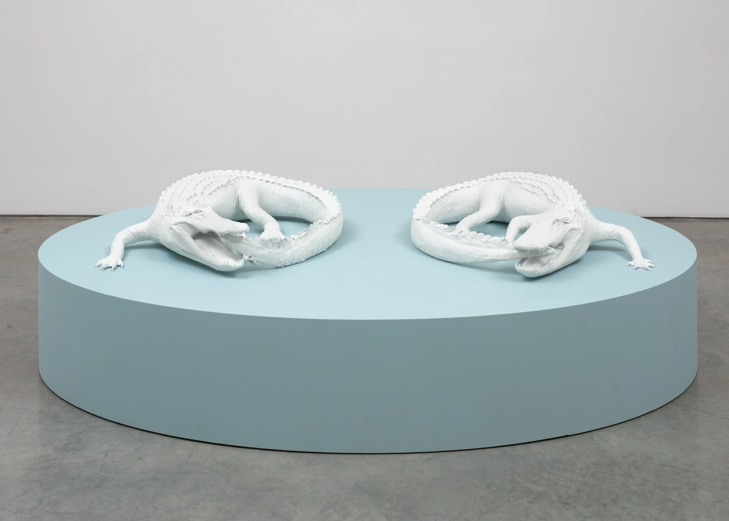  Untitled (White Ouroboros) II , 2023 
ASA filament, paint, resin 
8 1/2 x 38 x 39 inches