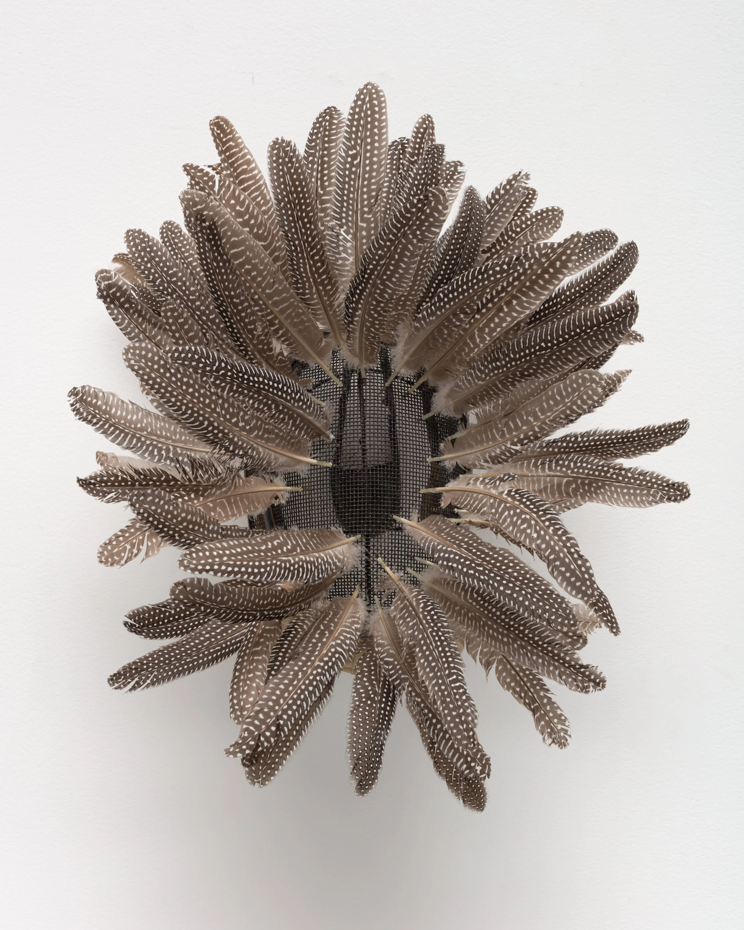  Guinea Mask , 2019 
Vintage fencing mask, feathers 
20 x 20 x 18 inches