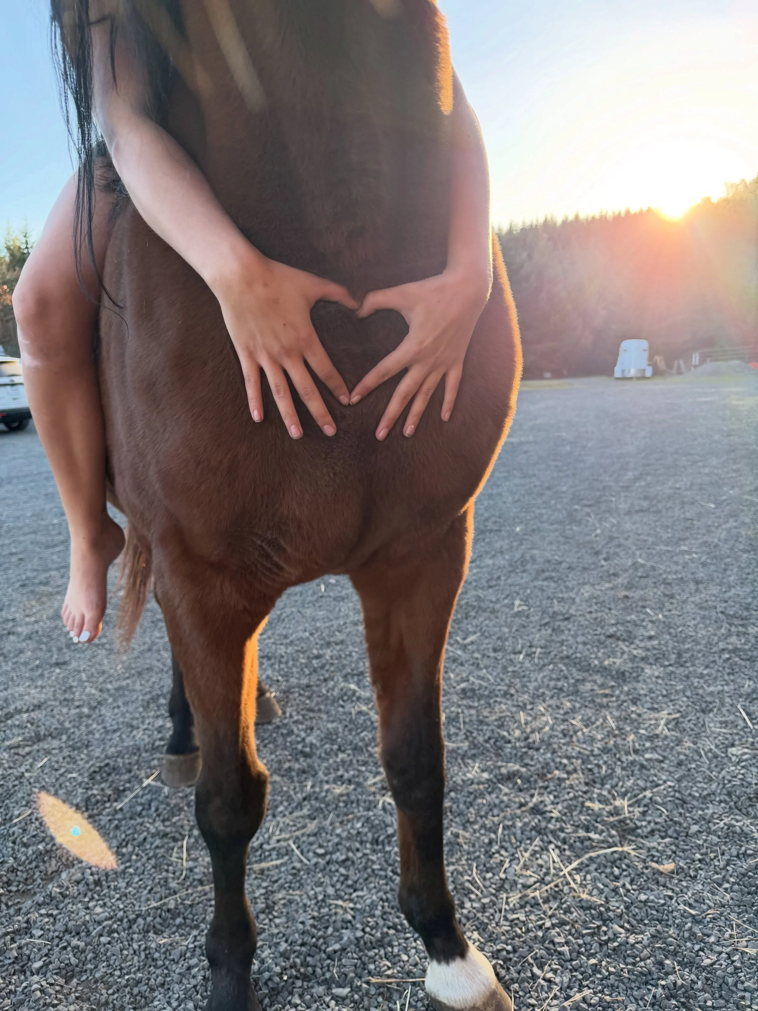 Happy Saturday from Madison Grove Farm! ❤️

Yesterday, one of our teenage volunteers came up the hill with her mom to take her homecoming pictures. Beautiful green dress, cowboy boots, hat, and two very special horses, Gary and Boris.

I&rsquo;ve bee