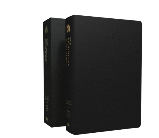 Two black hardcover books with gold lettering standing upright on a white background