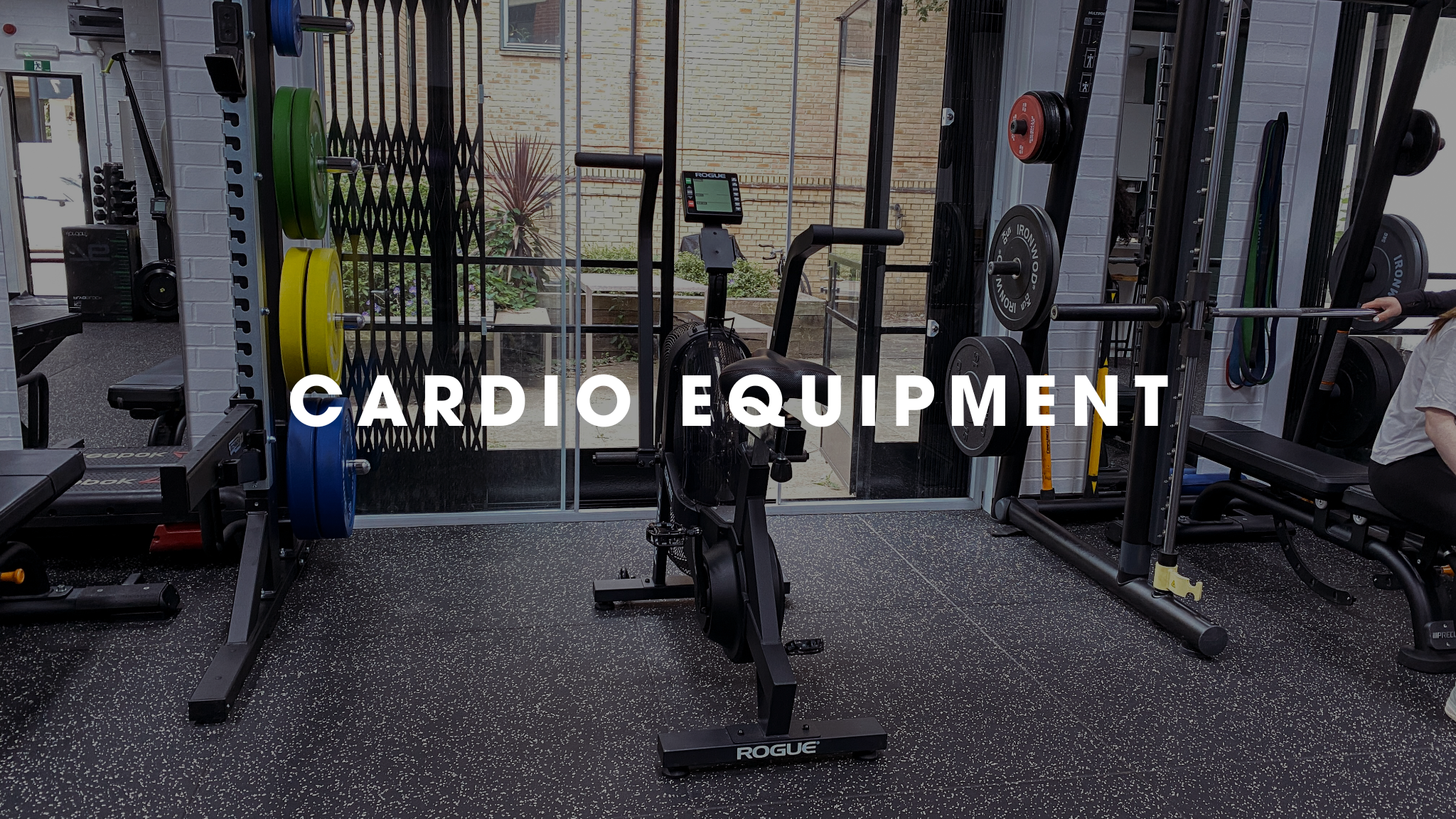 Cardio Equipment