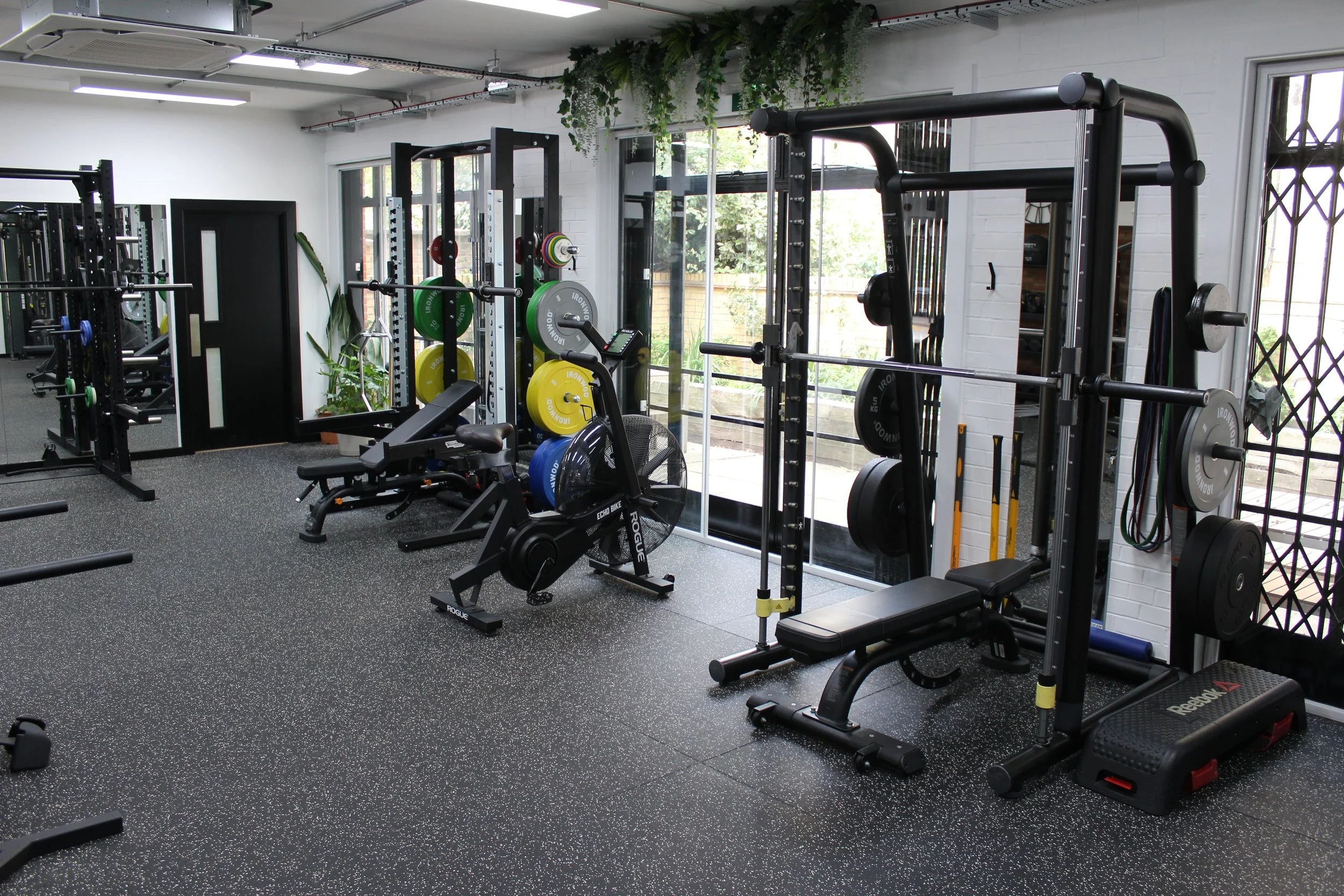A well-lit fitness gym with various workout equipment including weights, benches, and exercise machines. Large windows with greenery outside allow natural light to fill the space. Indoor plants hang from the ceiling, creating a fresh atmosphere.