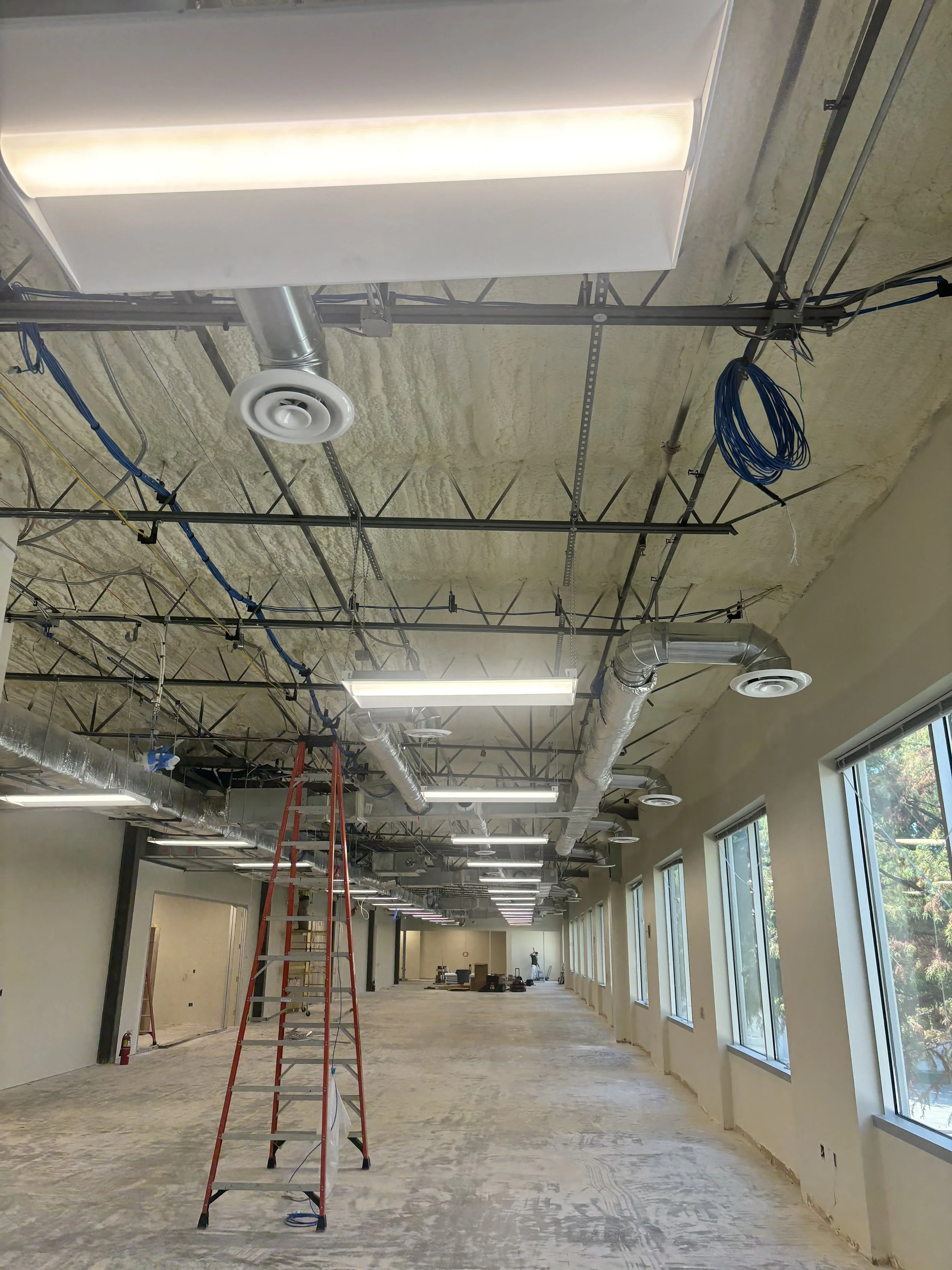 Commercial interior under construction with exposed ceiling, HVAC ducts, fluorescent lights, wiring, windows, and a red extension ladder