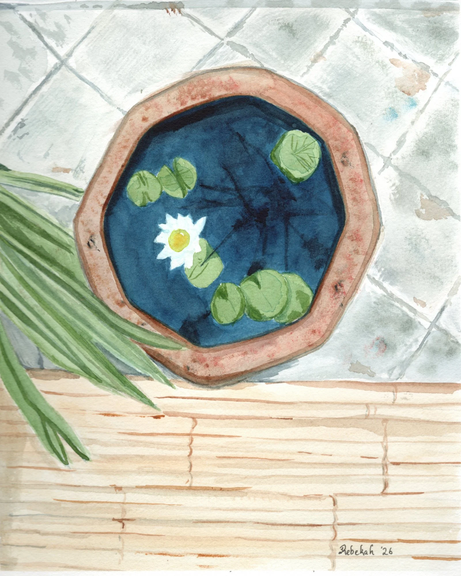 Watercolor painting of a terracotta bowl filled with dark blue water, lily pads, and a white water lily on a tiled and wooden surface.