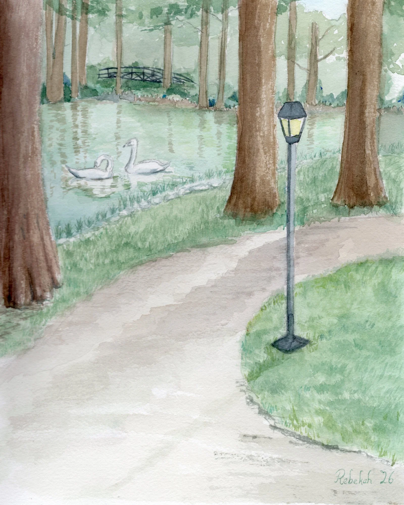Watercolor painting of two swans on a pond in a wooded park with a footbridge and vintage lamp post.