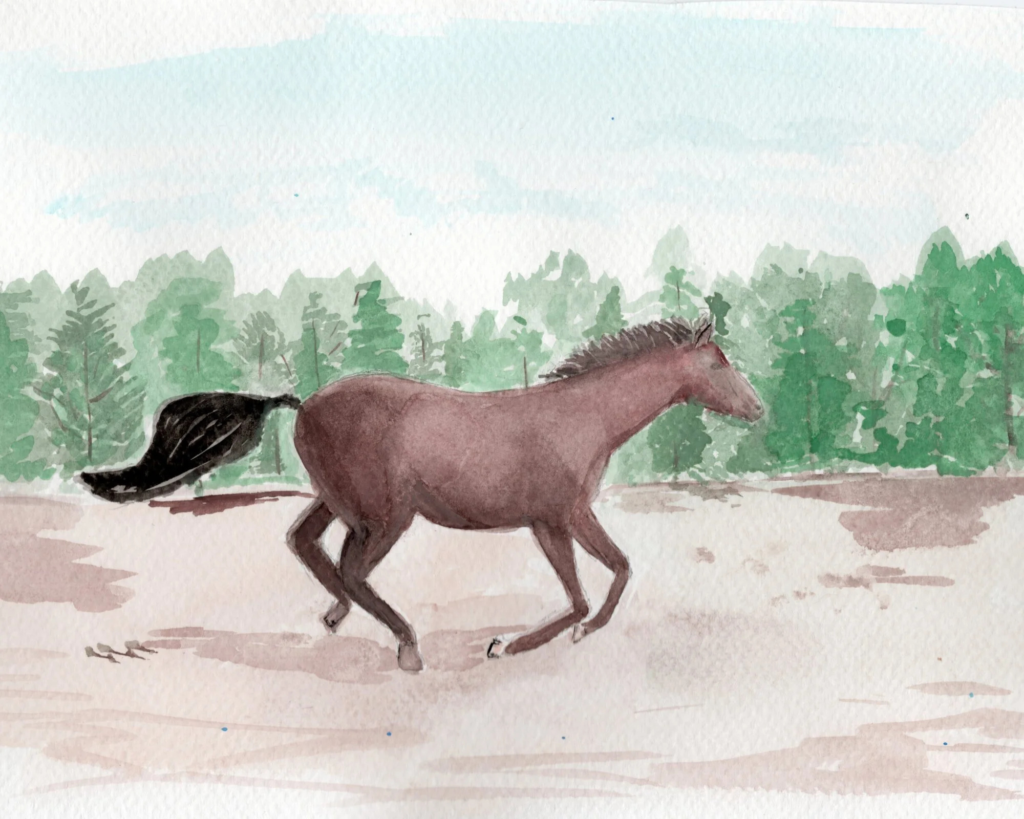 Watercolor illustration of a brown horse running through a forest with a flowing black tail.