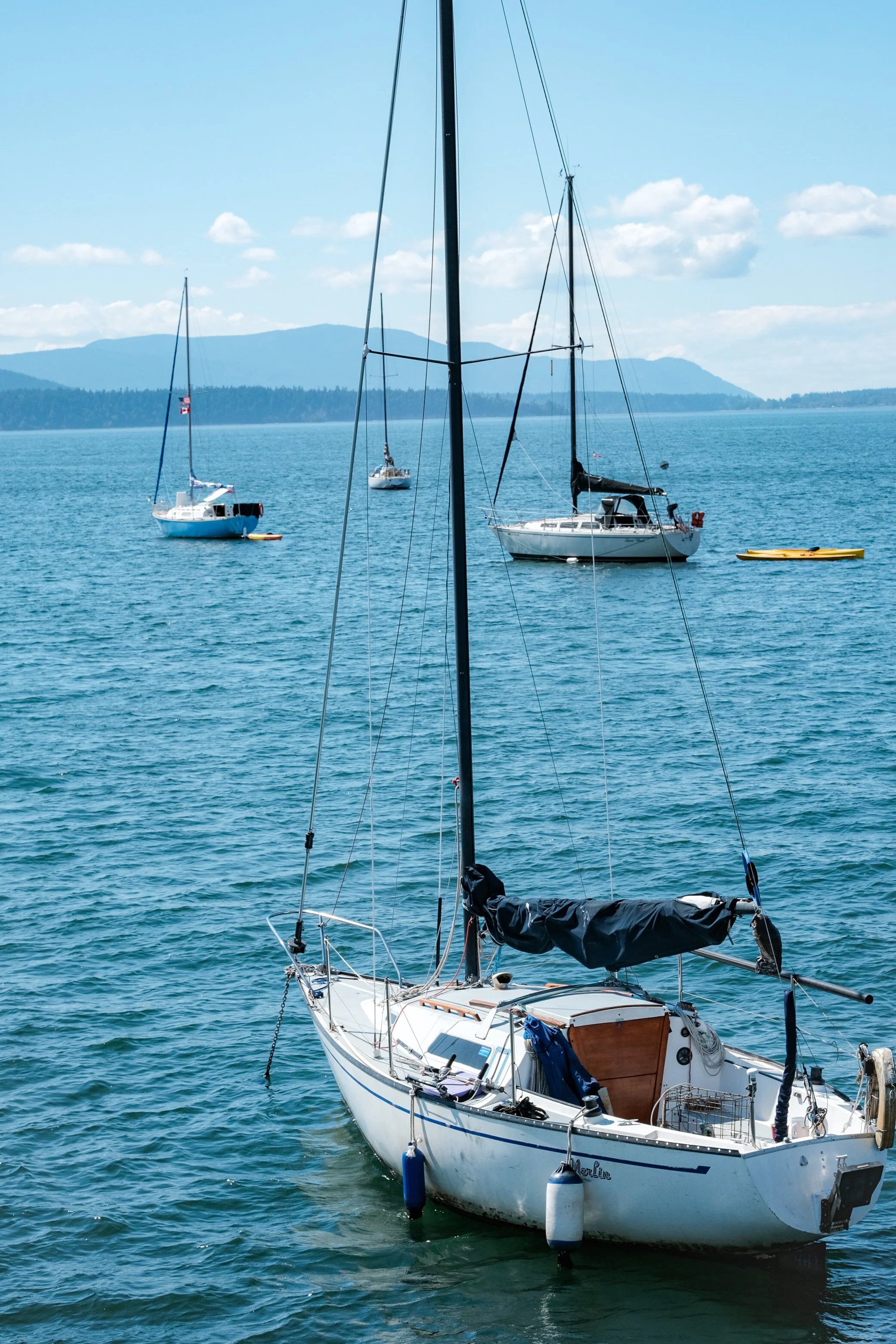 DSCF3127.jpg