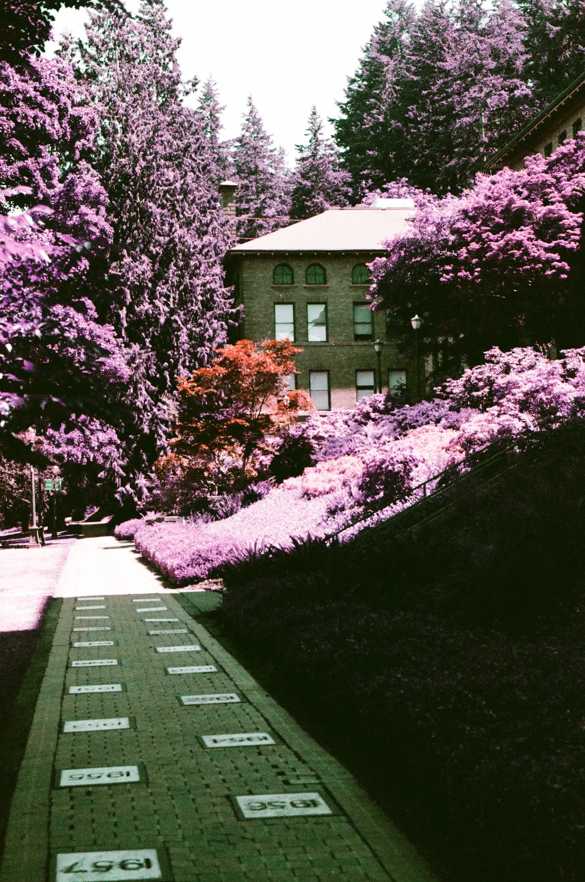 000525560019.jpg