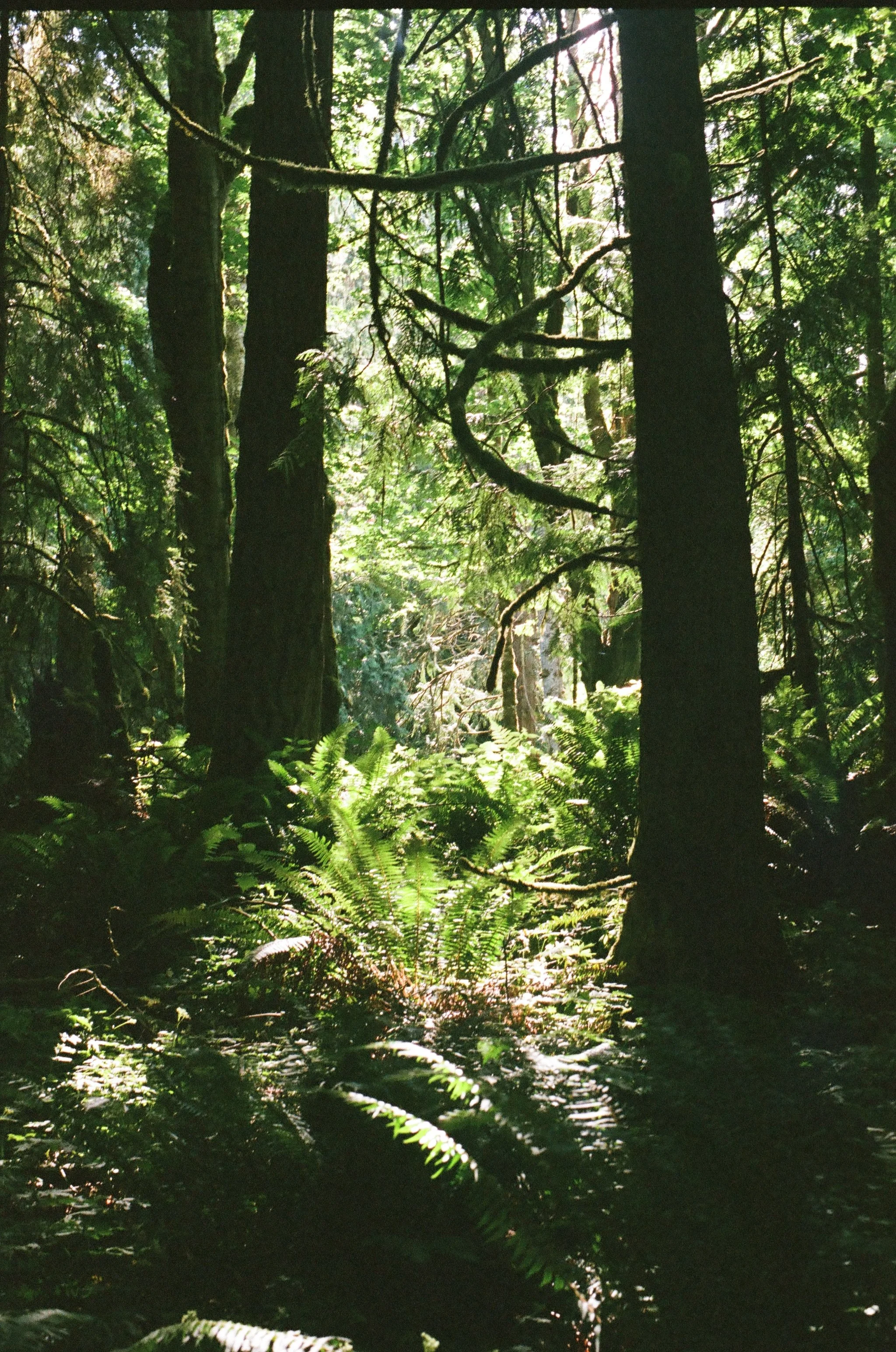 000571660020-edited.jpg