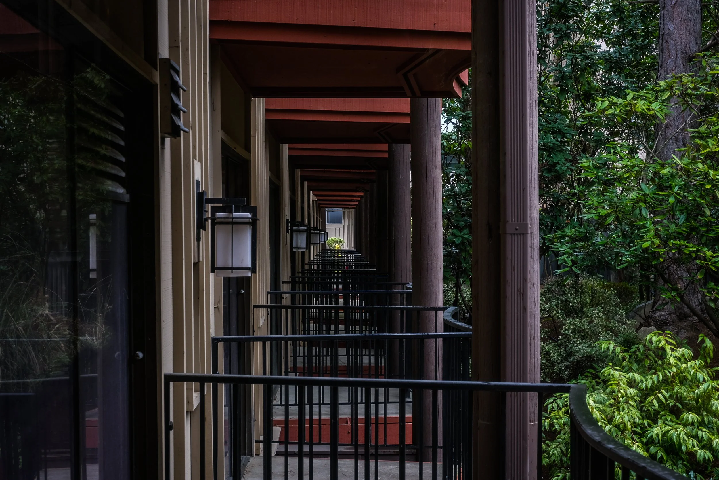 DSCF2527.jpg