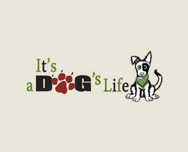A trusted local kennel facility for daycare and boarding needs. The staff is well-trained in proper socialization and group management. 