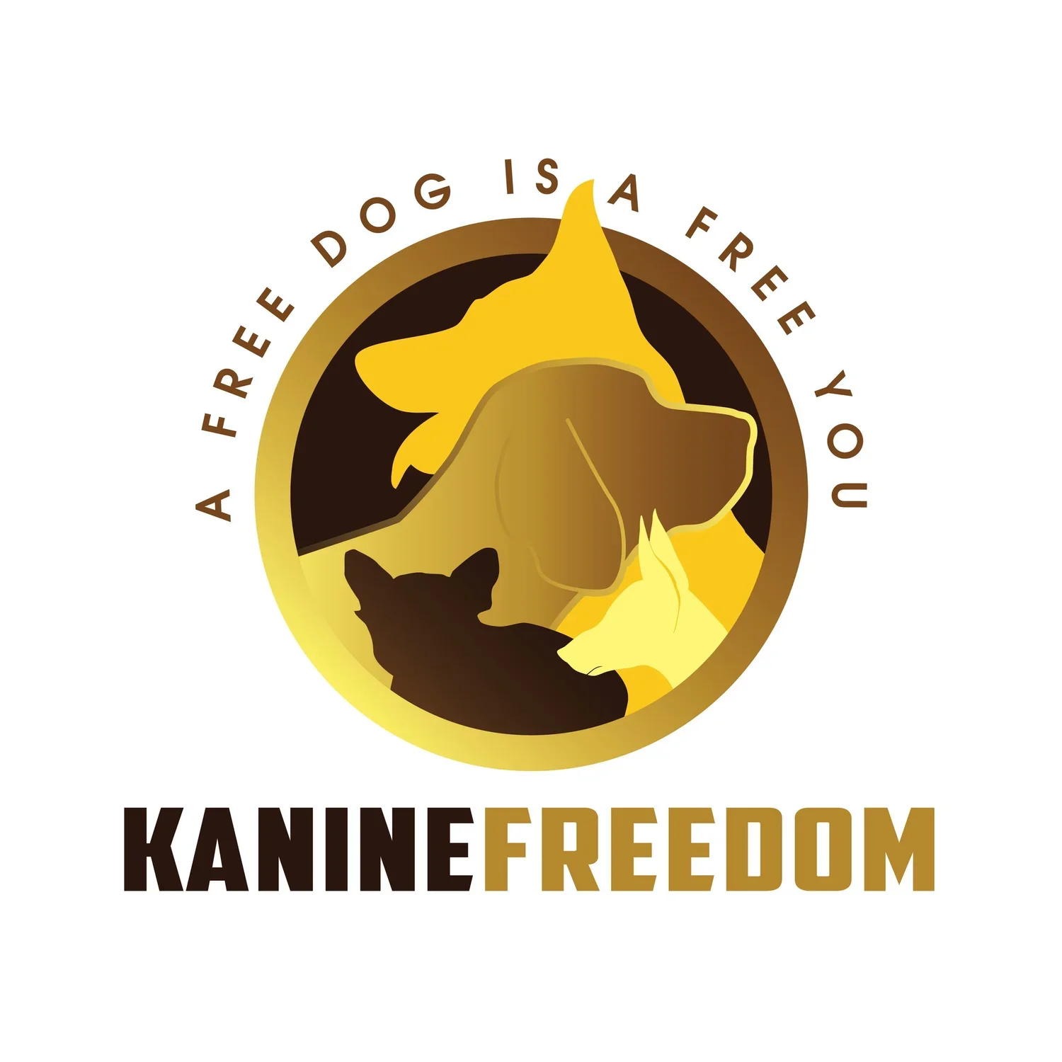 Kevin is always my goto dog trainer referral if I am booked out. You and your dog will be in great hands training with Kevin!