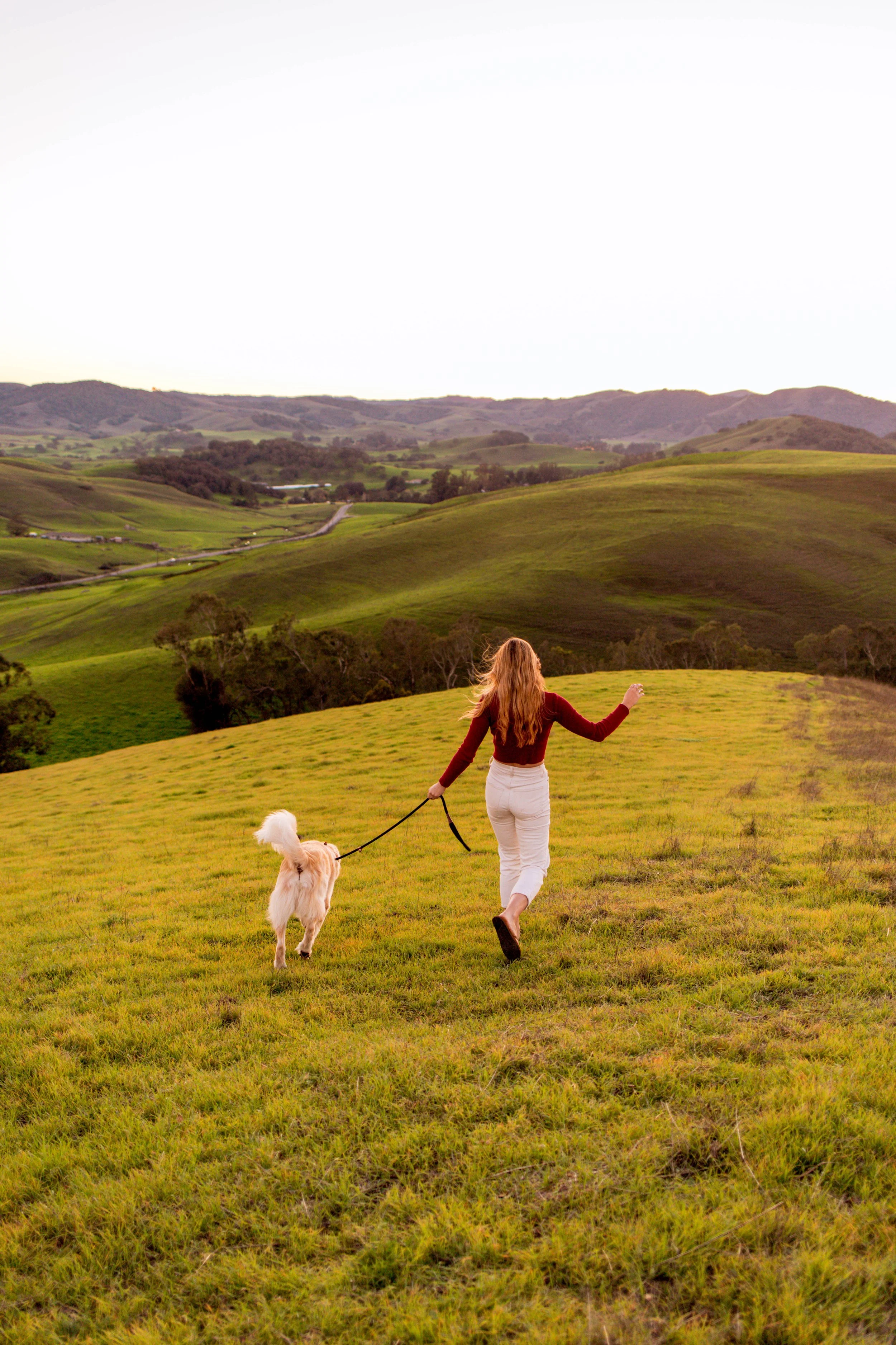 Woman walking a dog through rolling green hills with distant mountains and a winding country road