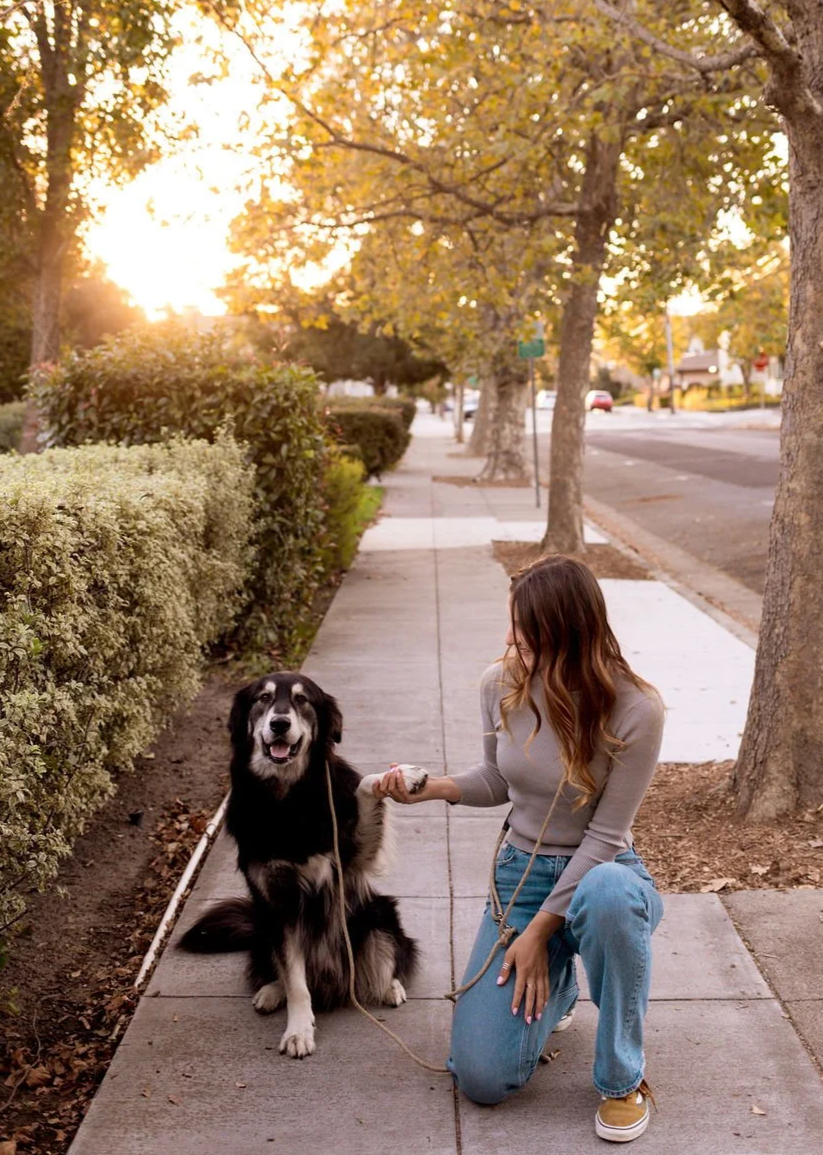 Woman kneeling on a sidewalk beside a seated black-and-white dog during an autumn neighborhood walk